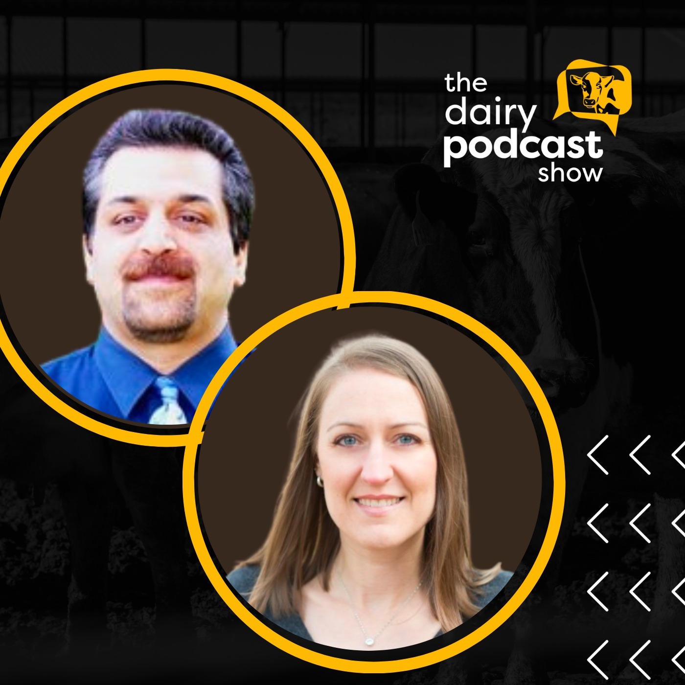 The Dairy Podcast Show