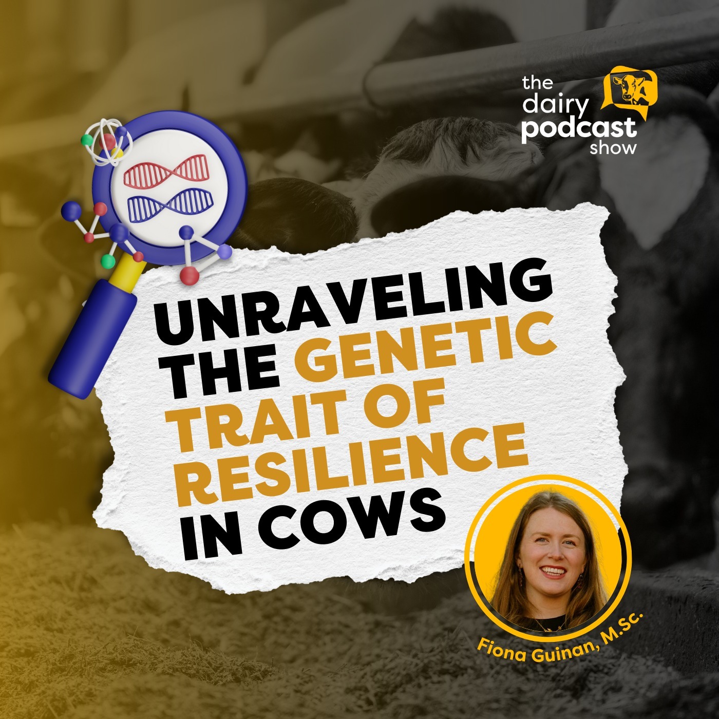 The Dairy Podcast Show