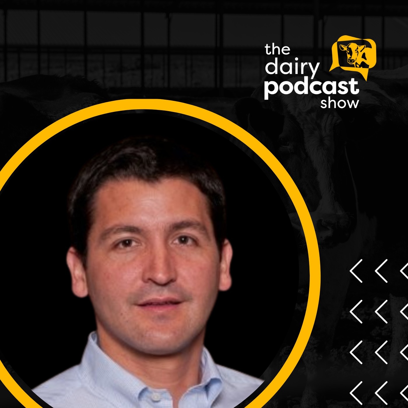 The Dairy Podcast Show