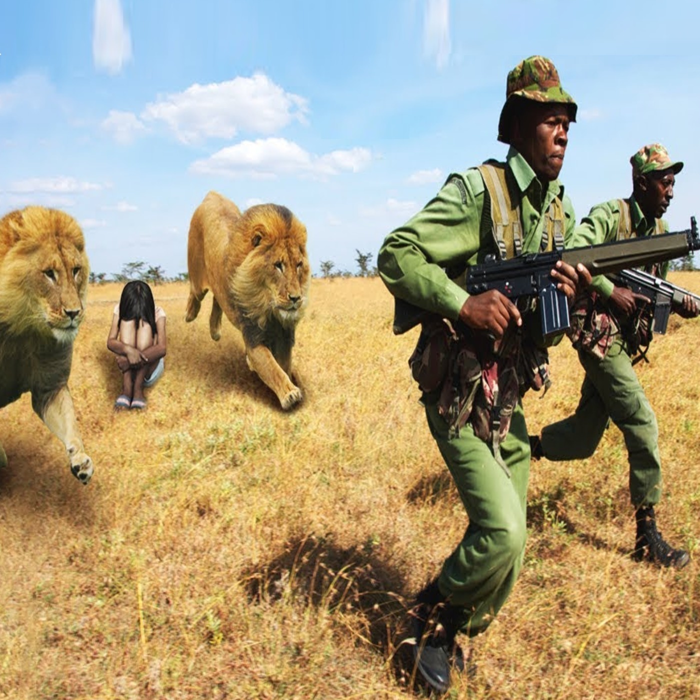 Wild Animals That Saved Human Lives