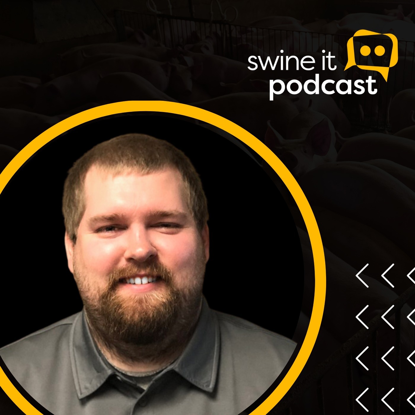 The Swine it Podcast Show