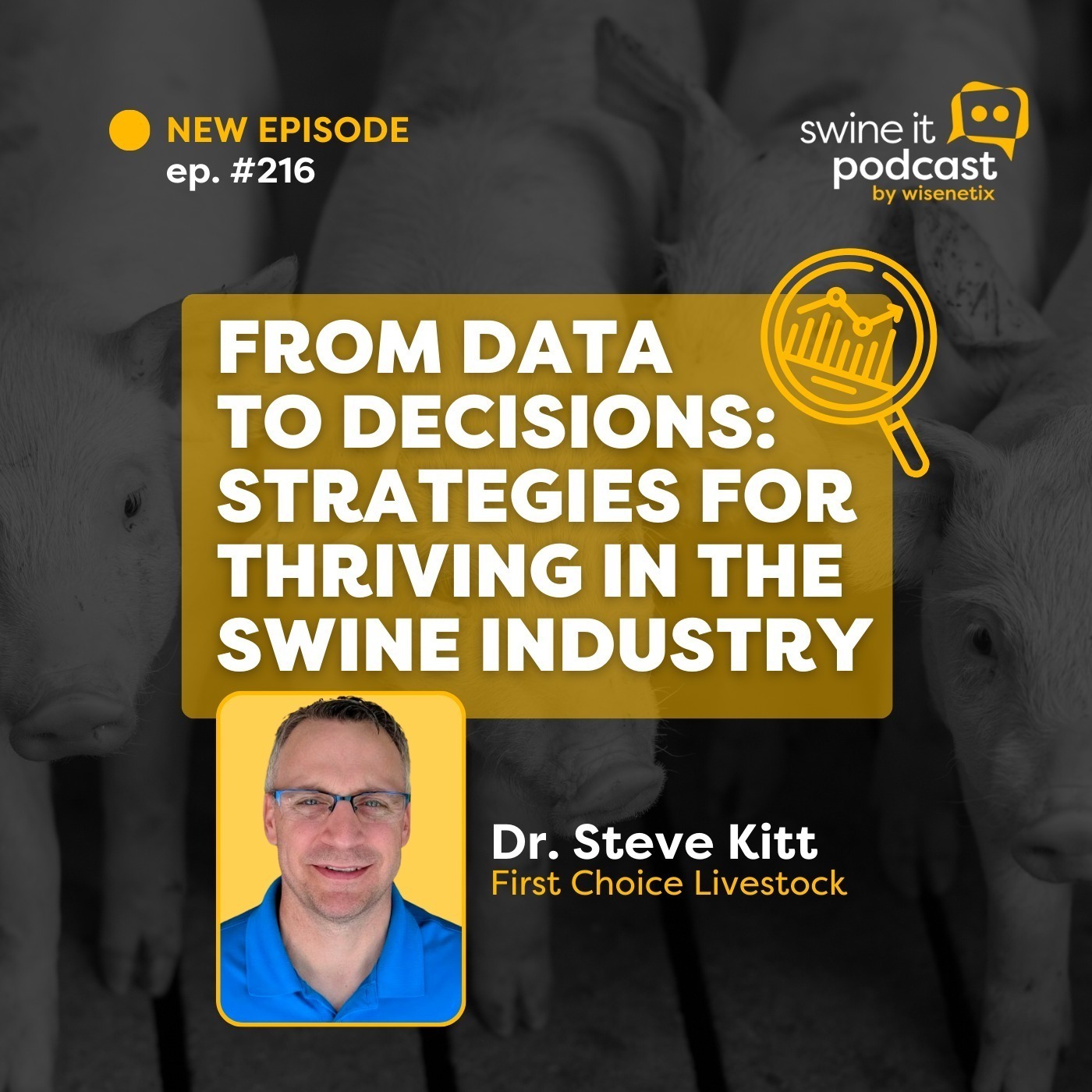 Dr. Steve Kitt: From Data to Decisions | Ep. 216