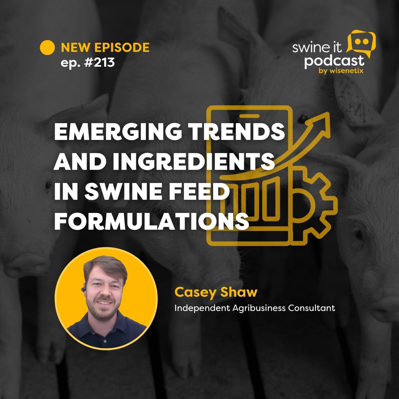 Casey Shaw: Swine Feed Trends | Ep. 213