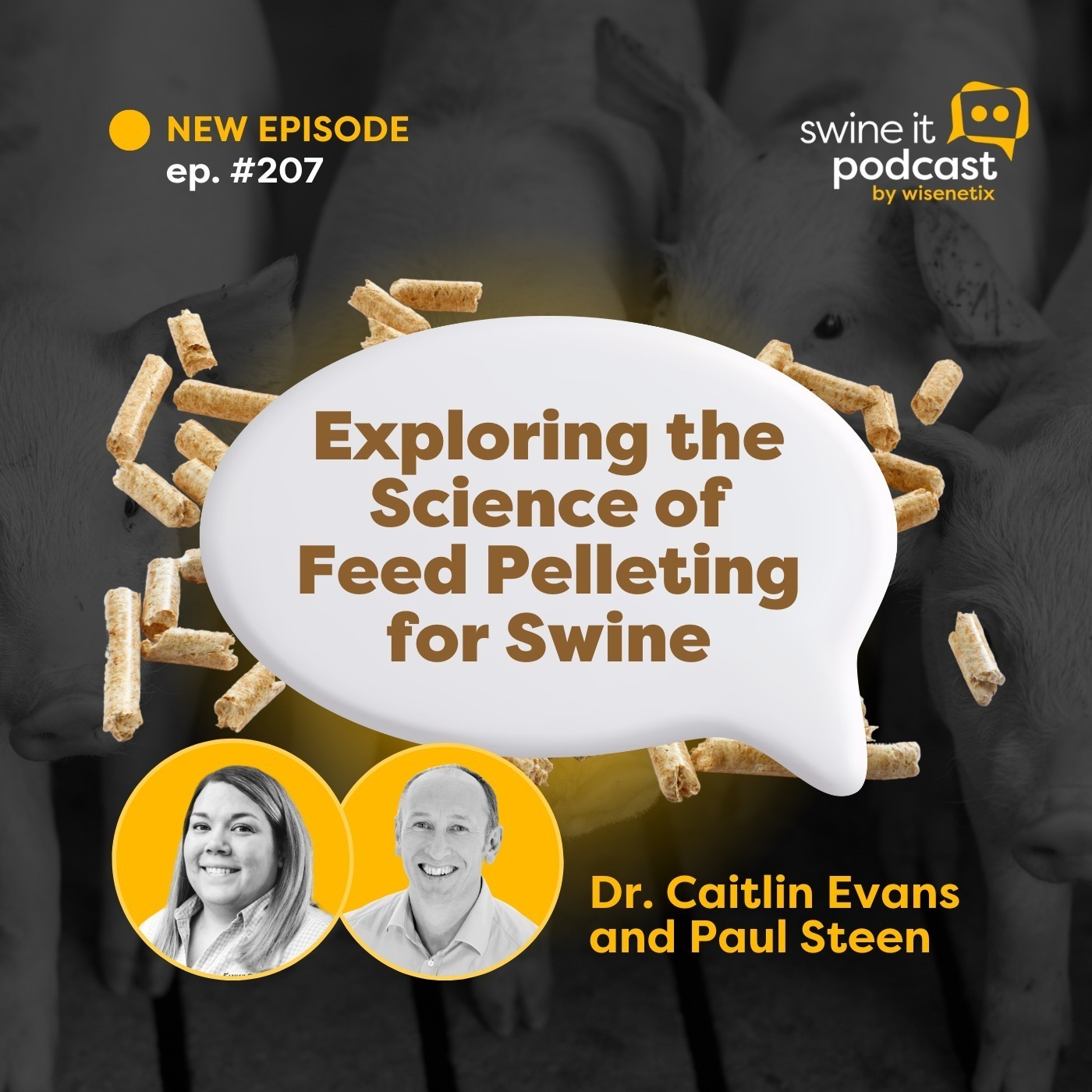 Roundtable: Science of Swine Feed | Ep. 208