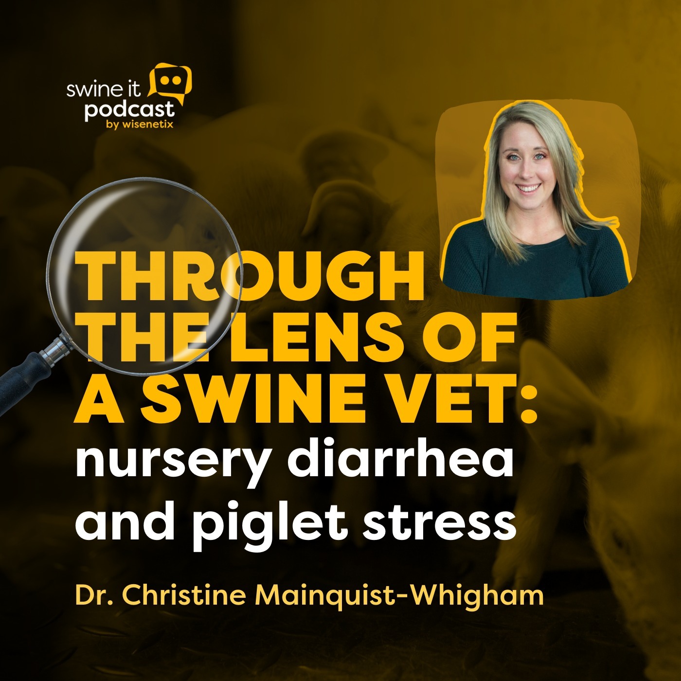 Dr. Christine Mainquist-Whigham: Swine Veterinary Insights | Ep. 196