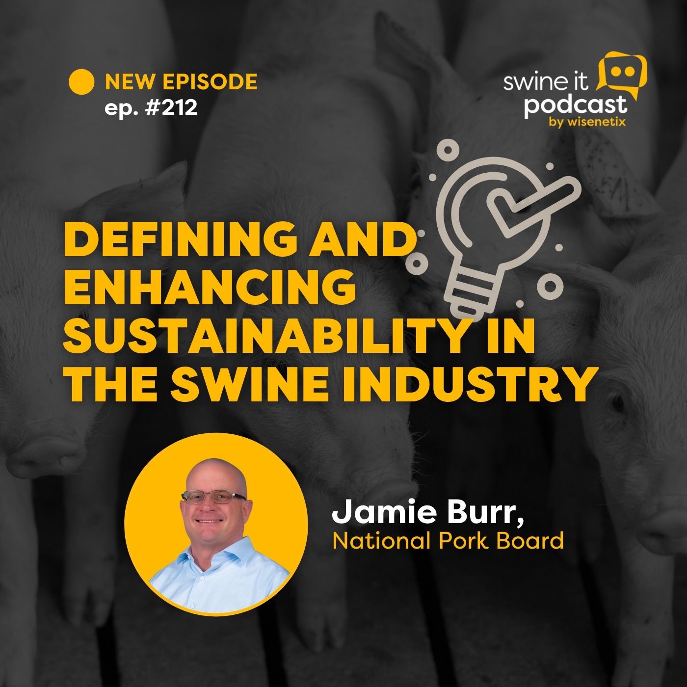 Jamie Burr: Swine Industry Sustainability | Ep. 212 episode artwork