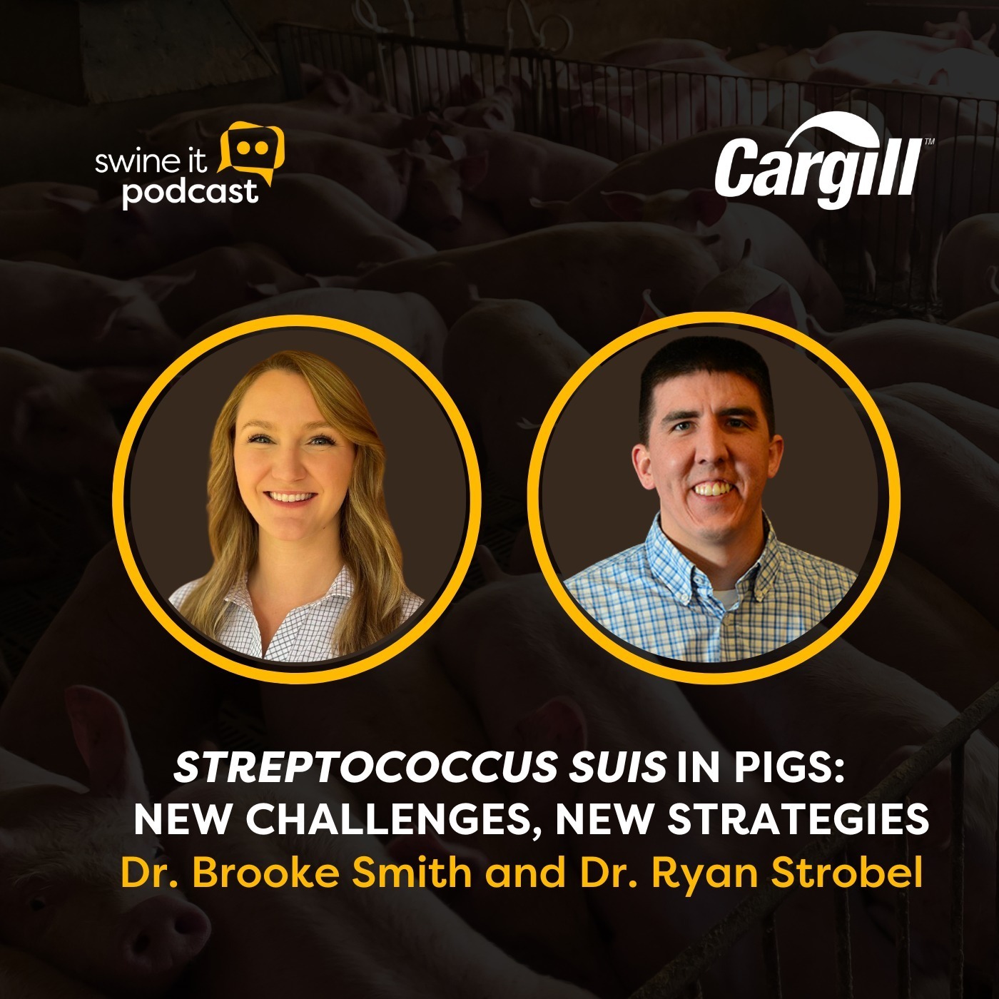 Roundtable: Streptococcus Suis Strategies | Ep. 191