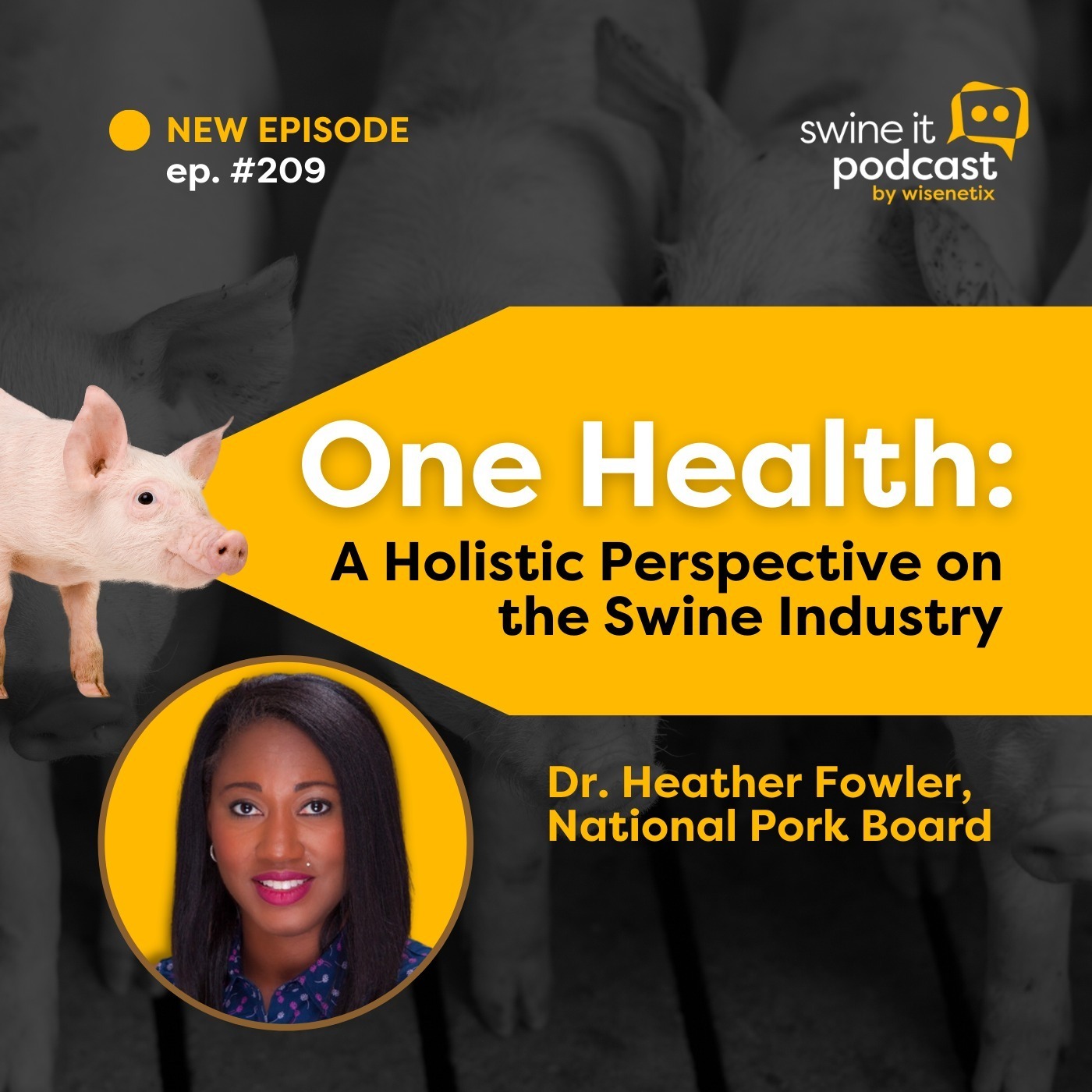 Dr. Heather Fowler: Swine One Health | Ep. 209