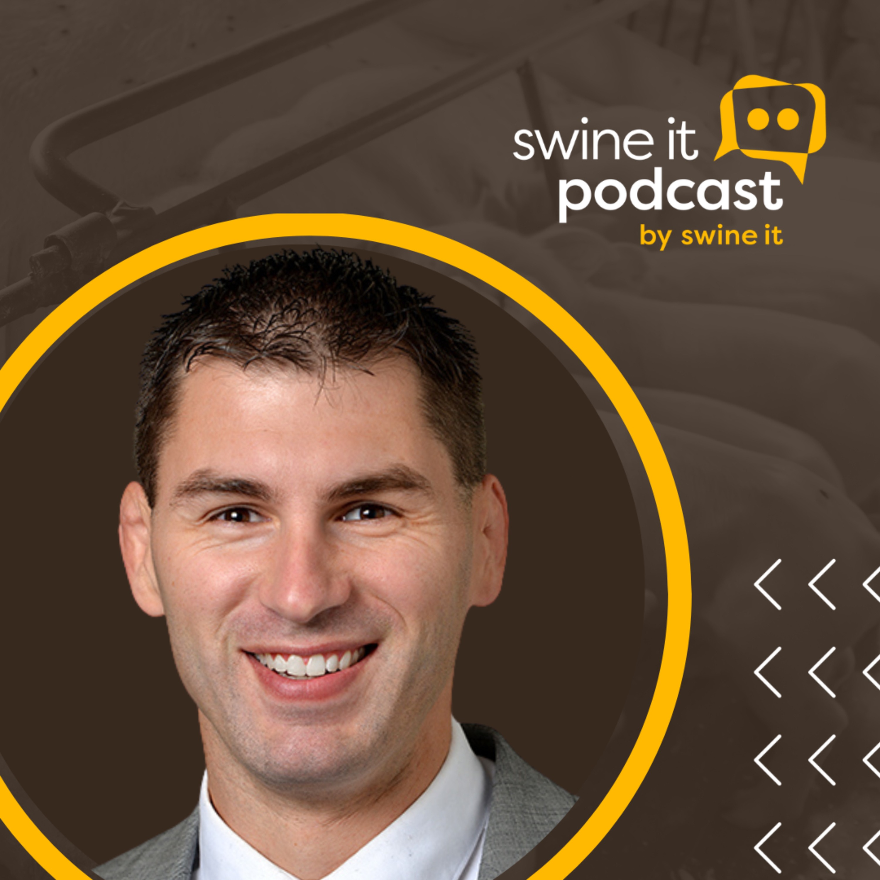 Dr. Mark Knauer: Sow Selection Criteria | Ep. 154 episode artwork