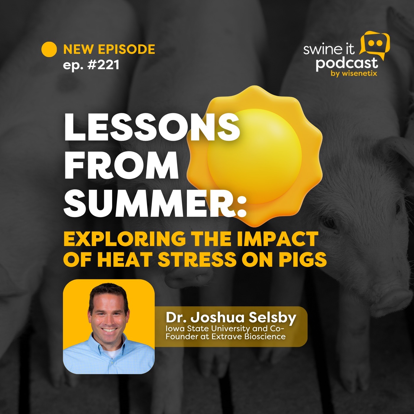 Dr. Joshua Selsby: Heat Stress Impact  on Pigs | Ep. 221