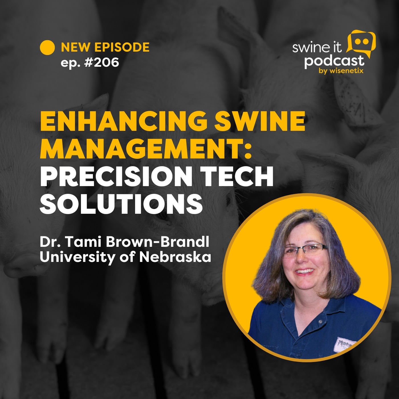 Dr. Tami Brown-Brandl: Precision Swine Management | Ep. 206