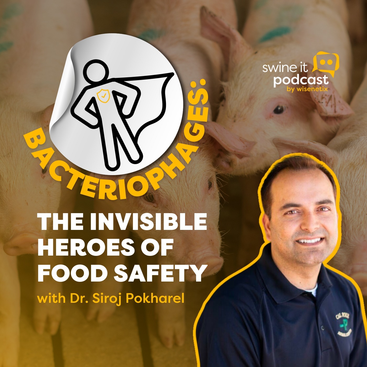 Dr. Siroj Pokharel: Bacteriophages in Food Safety | Ep. 199 episode artwork