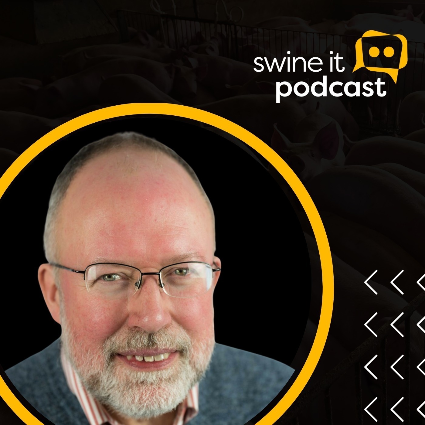 Dr. John Deen: Average Pig Value | Ep. 175 episode artwork