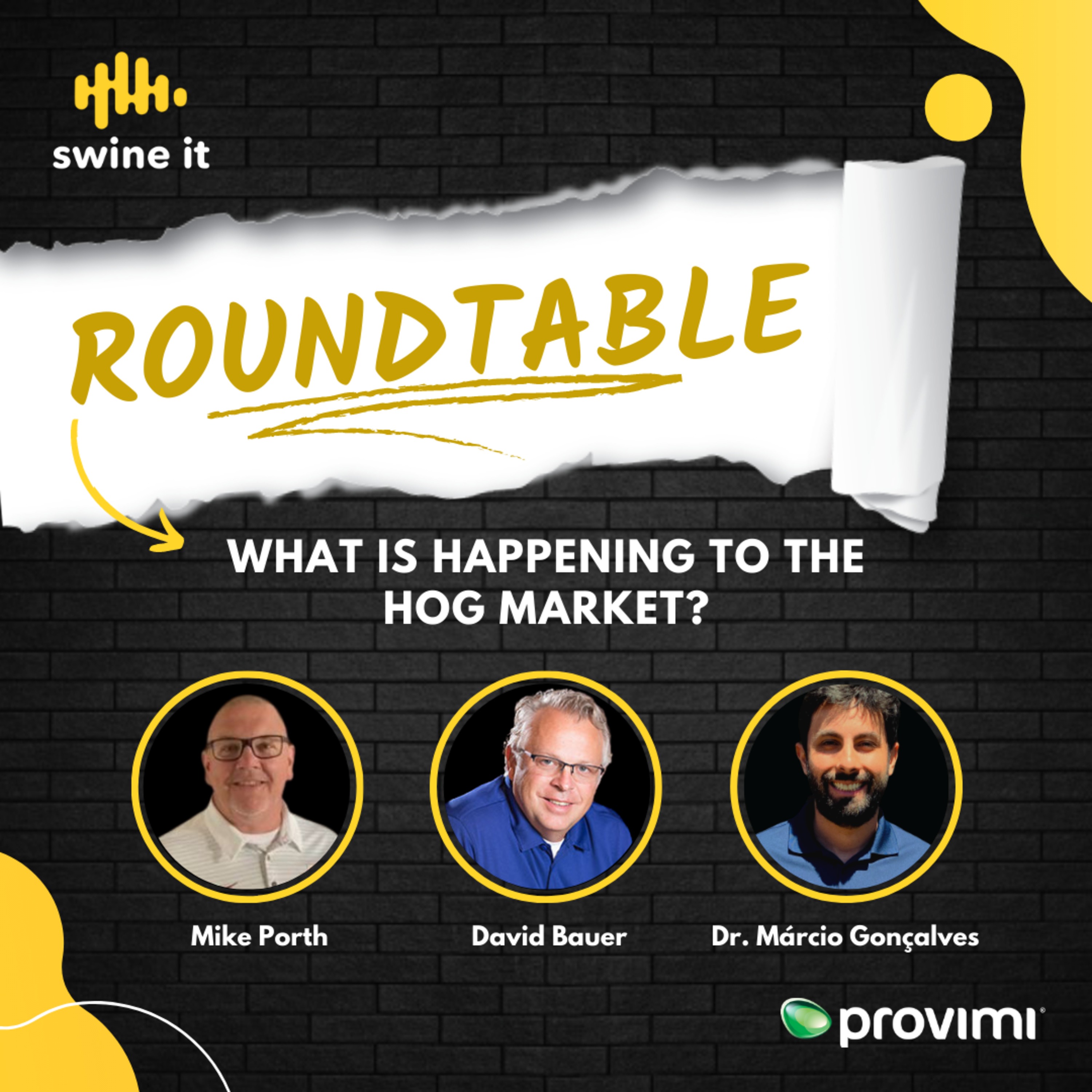 Roundtable: Hog Market Trends | Ep. 78 episode artwork