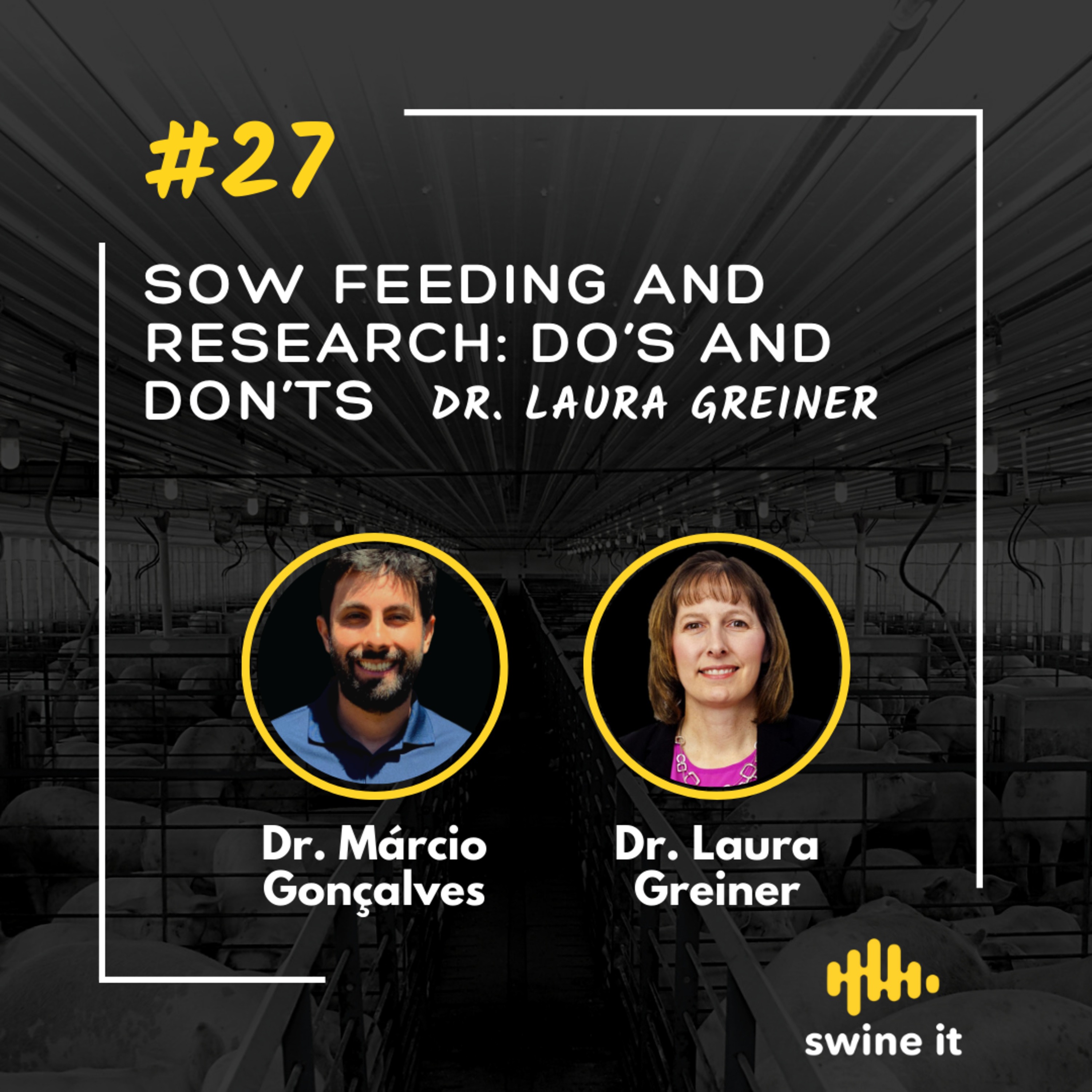 Dr. Laura Greiner: Sow Feeding Research | Ep. 27