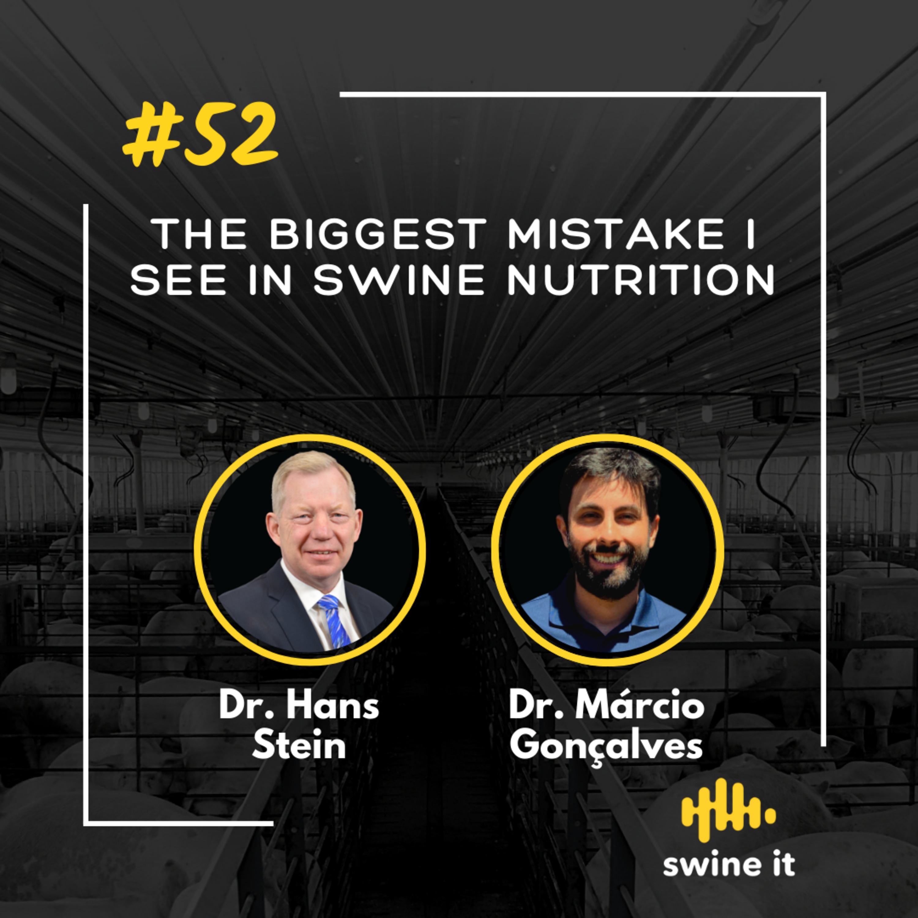 Dr. Hans Stein: Swine Nutrition Mistakes | Ep. 52 episode artwork