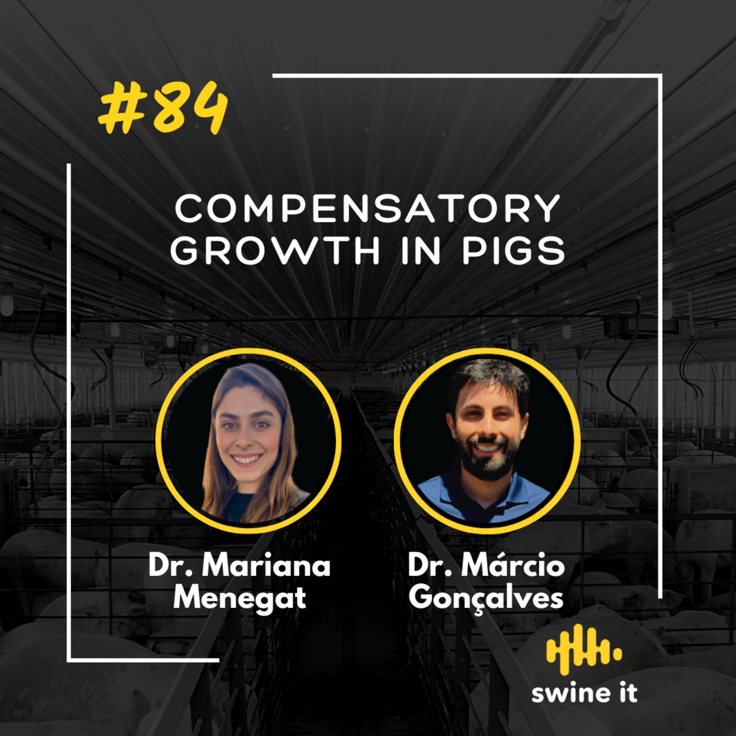 Dr. Mariana Menegat: Compensatory Growth in Pigs | Ep. 84