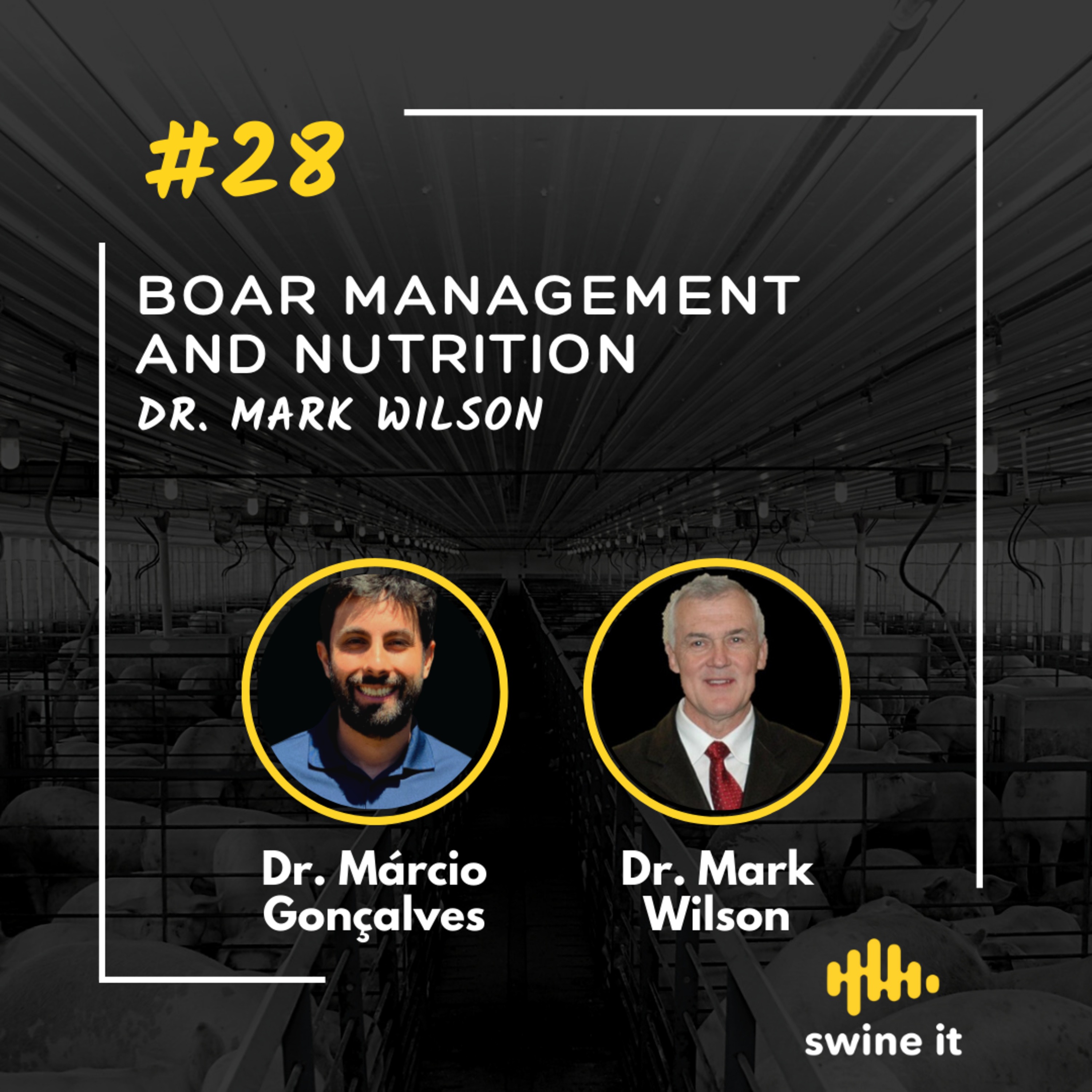 Dr. Mark Wilson: Boar Management and Nutrition | Ep. 28