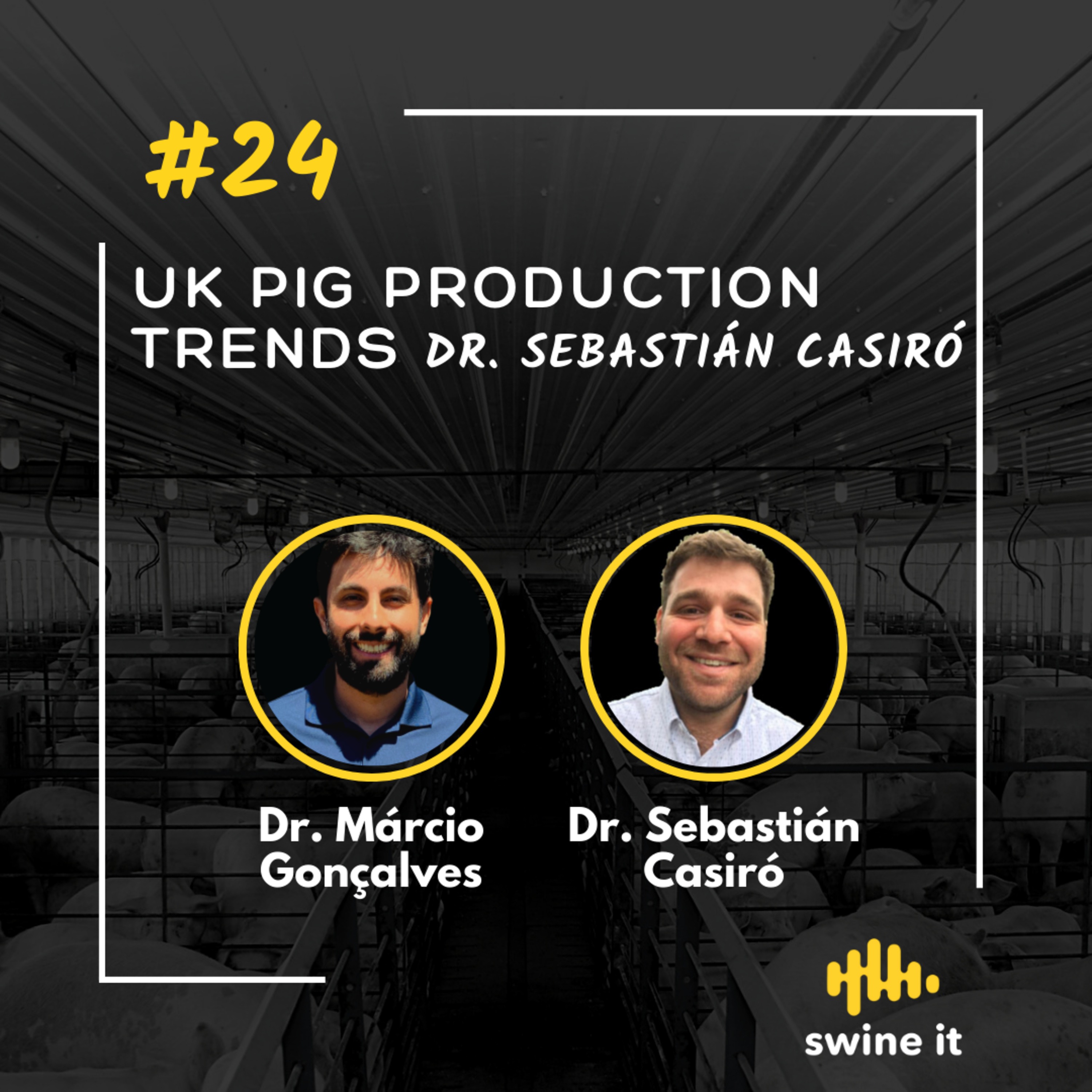 Sebastian Casiro: UK Pig Production Trends | Ep. 24 episode artwork