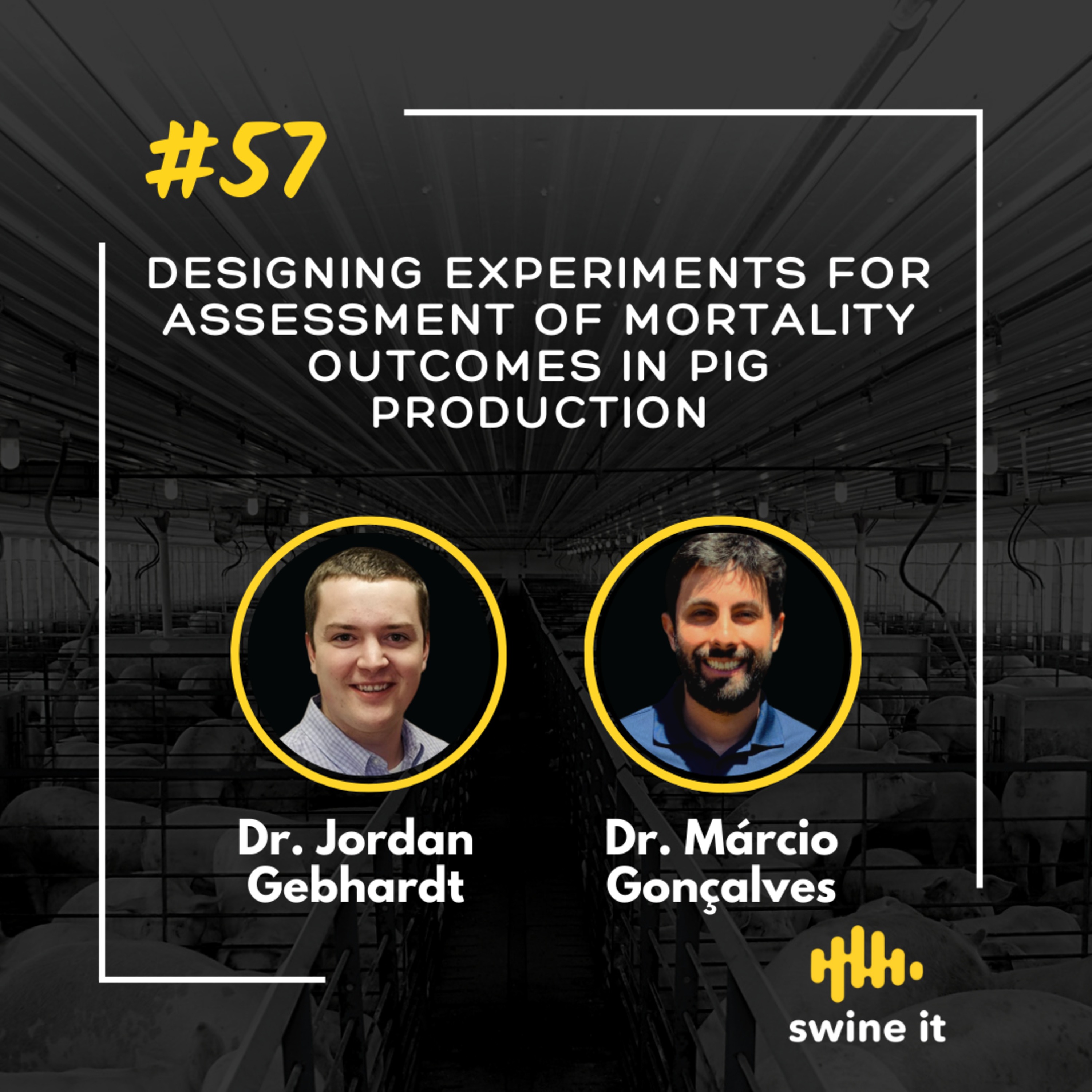 Dr. Jordan Gebhardt: Mortality Outcomes in Pigs | Ep. 57 episode artwork