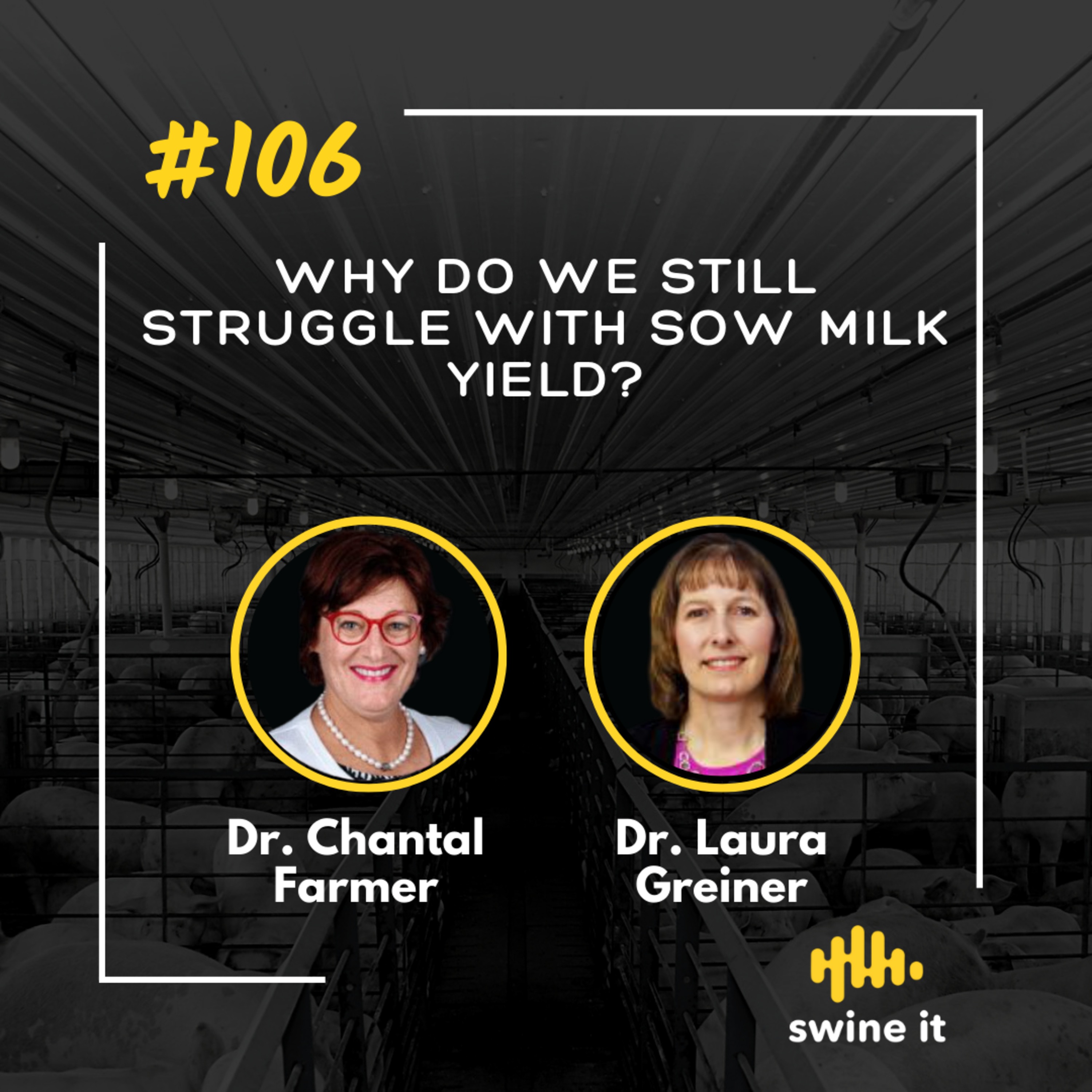 Dr. Chantal Farmer: Sow Milk Yield Issues | Ep. 106 episode artwork
