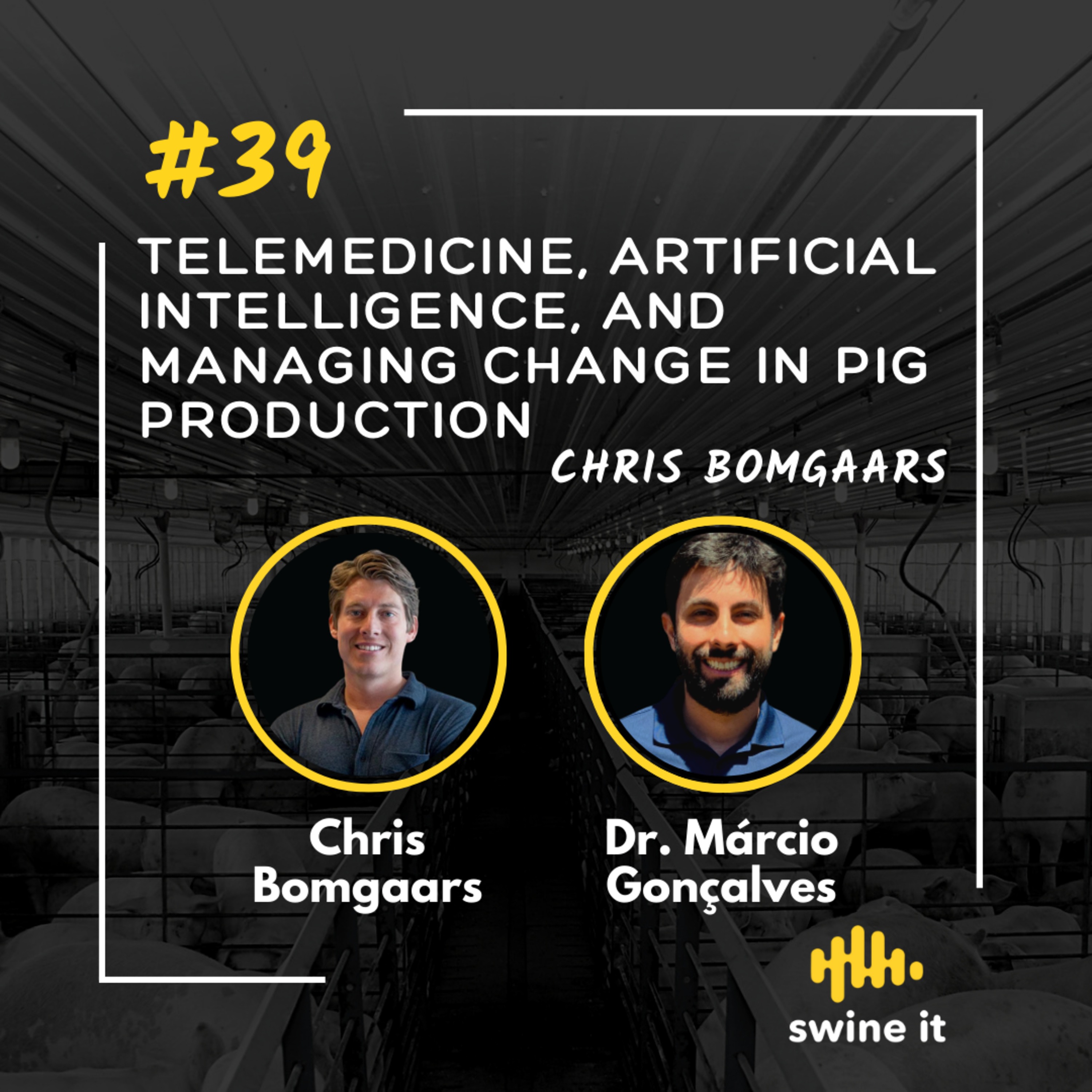 Chris Bomgaars: Telemedicine in Pig Production | Ep. 39