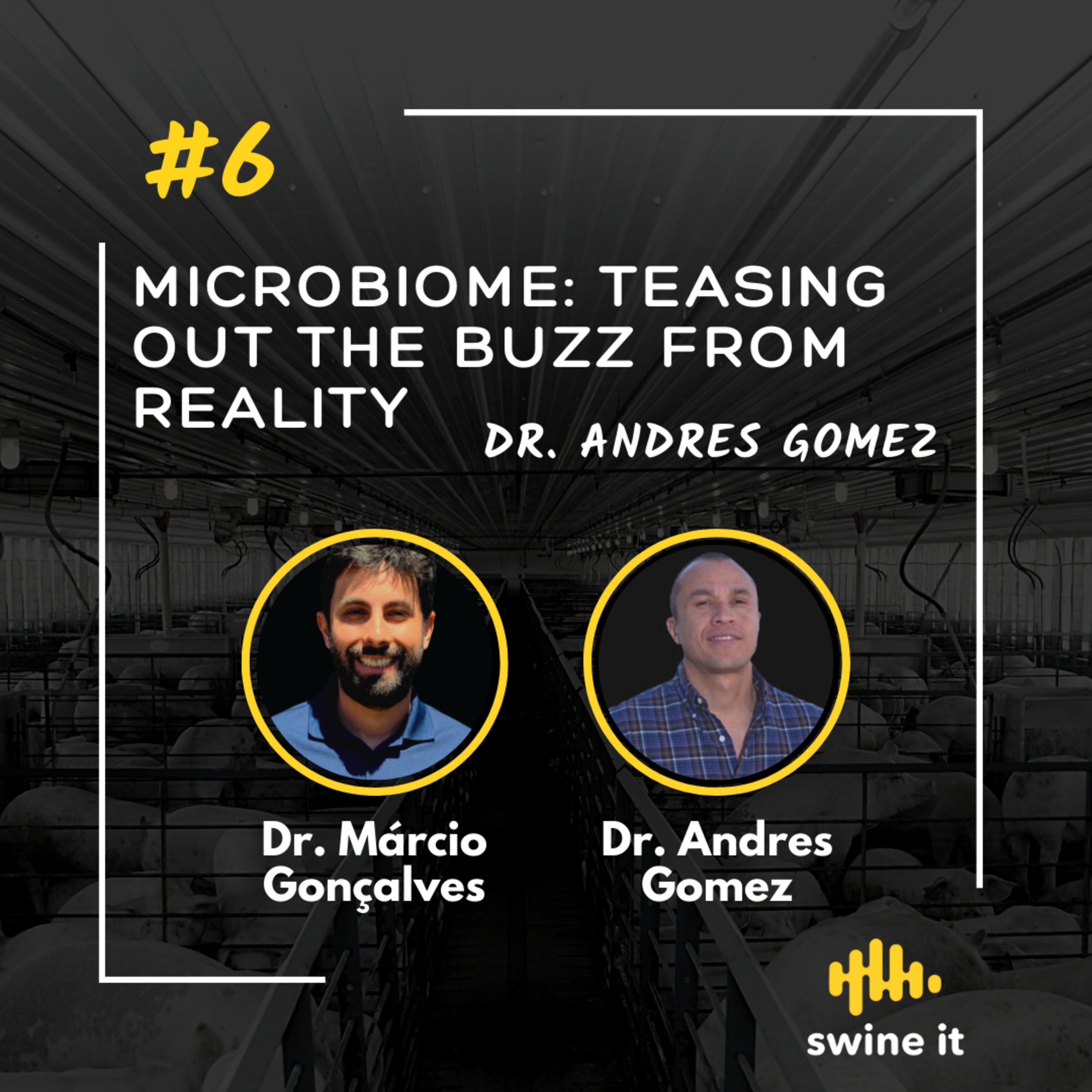 The Swine it Podcast Show