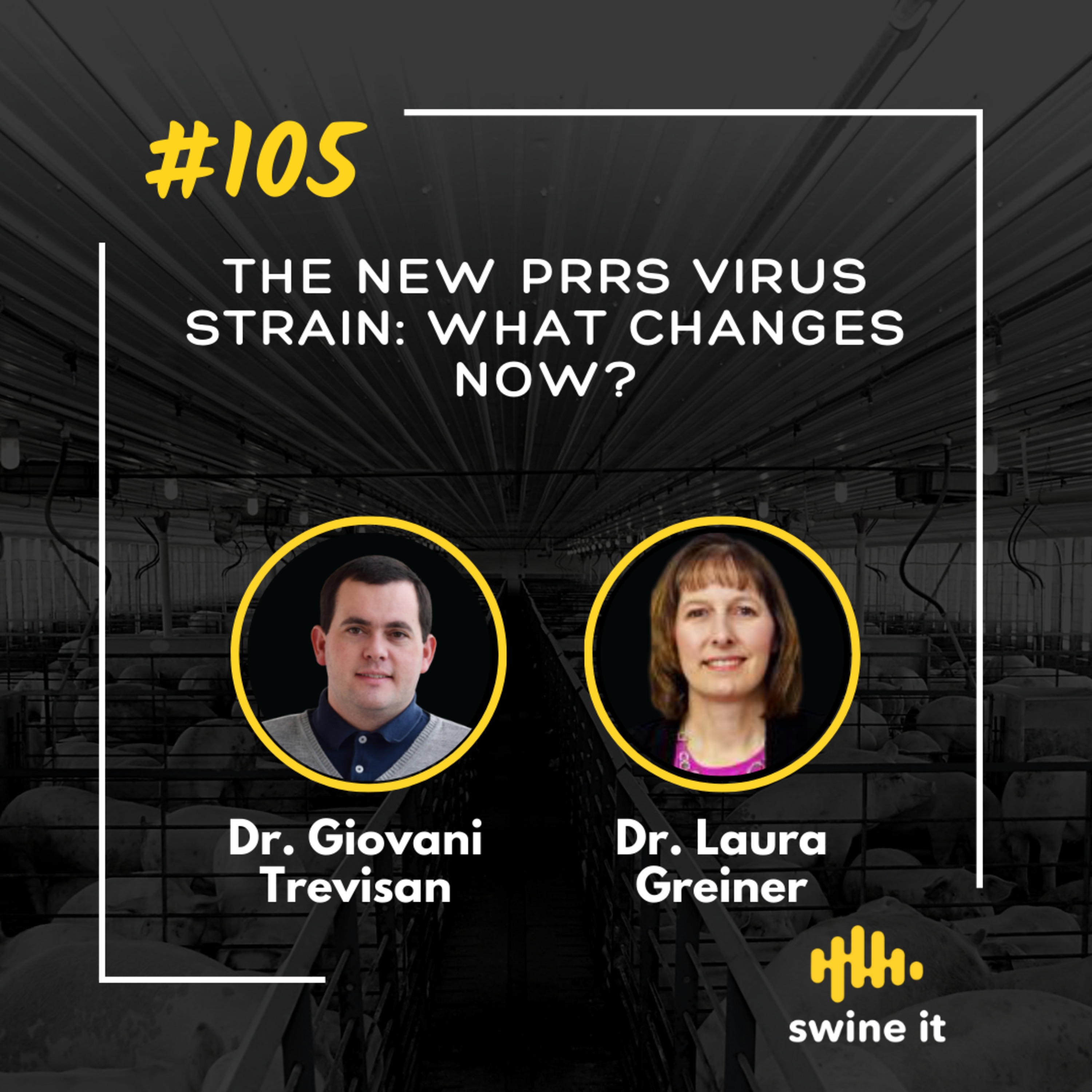 Dr. Giovani Trevisan: New PRRS Virus Insights | Ep. 105