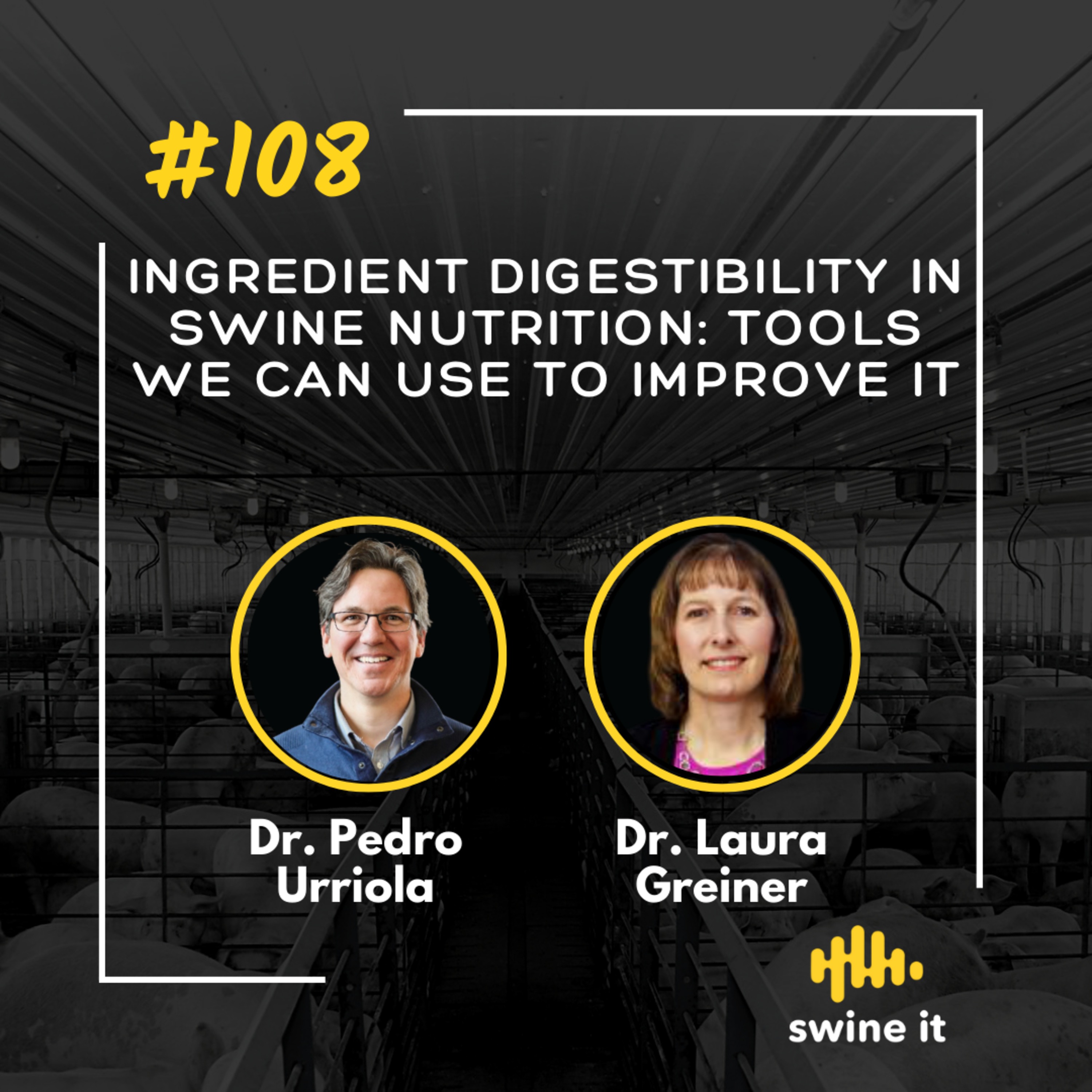 Dr. Pedro Urriola: Ingredient Digestibility in Swine Nutrition | Ep. 108 episode artwork