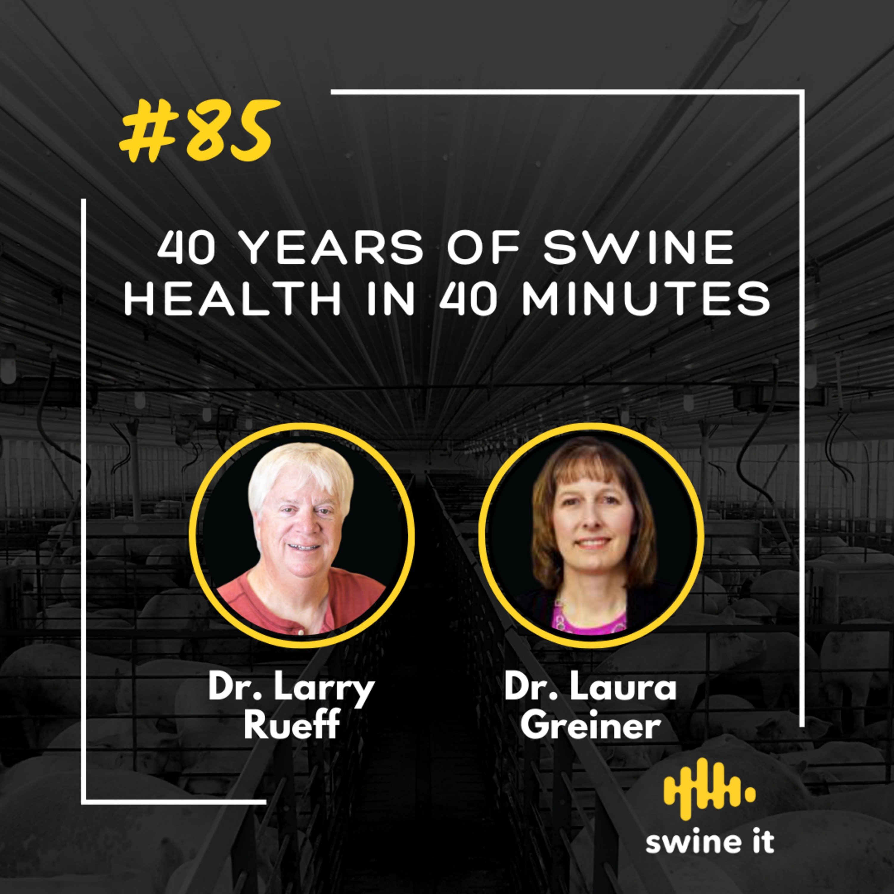 Dr. Larry Rueff: 40 Years in Swine Health | Ep. 85 episode artwork