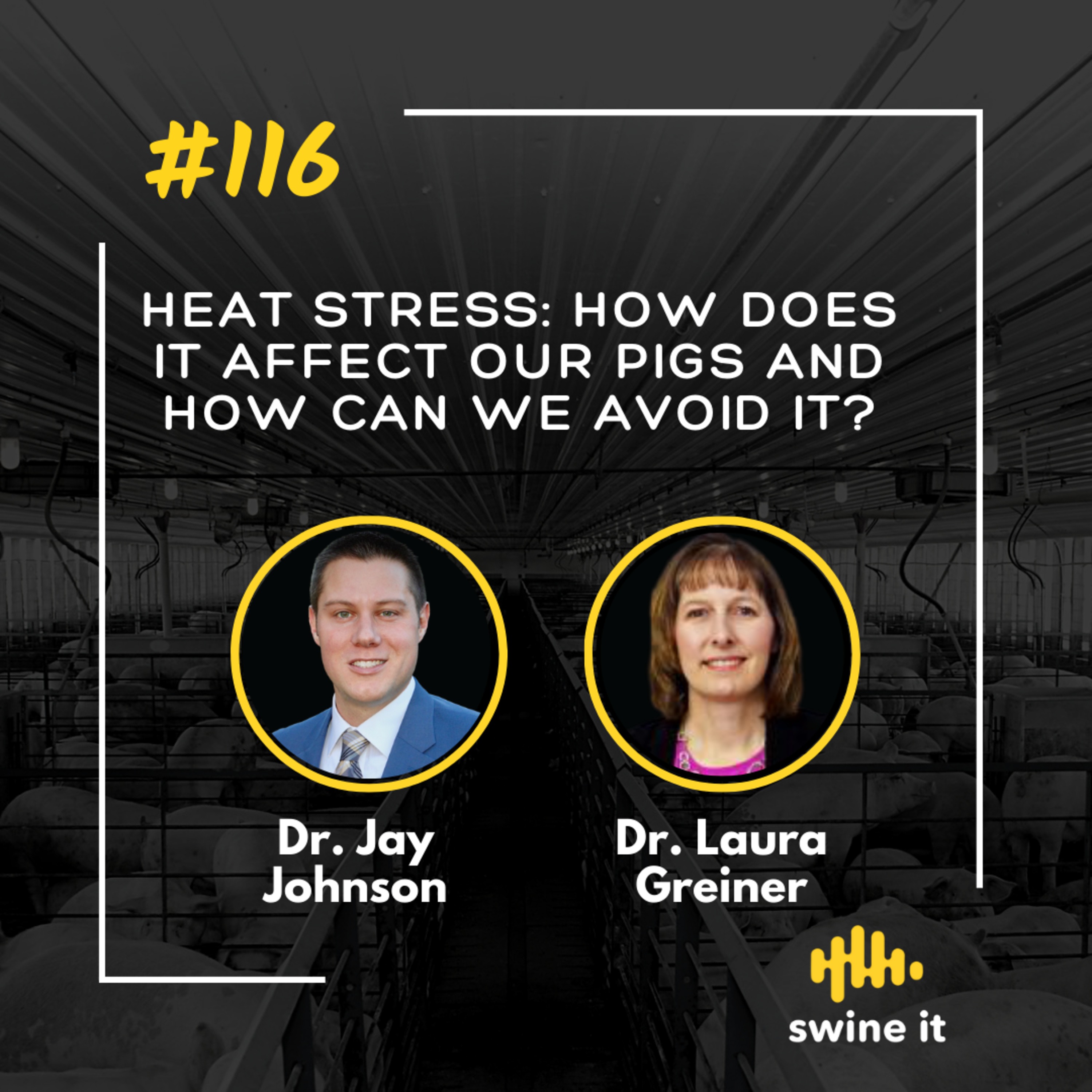 Dr. Jay Johnson: Managing Heat Stress in Swine | Ep. 116