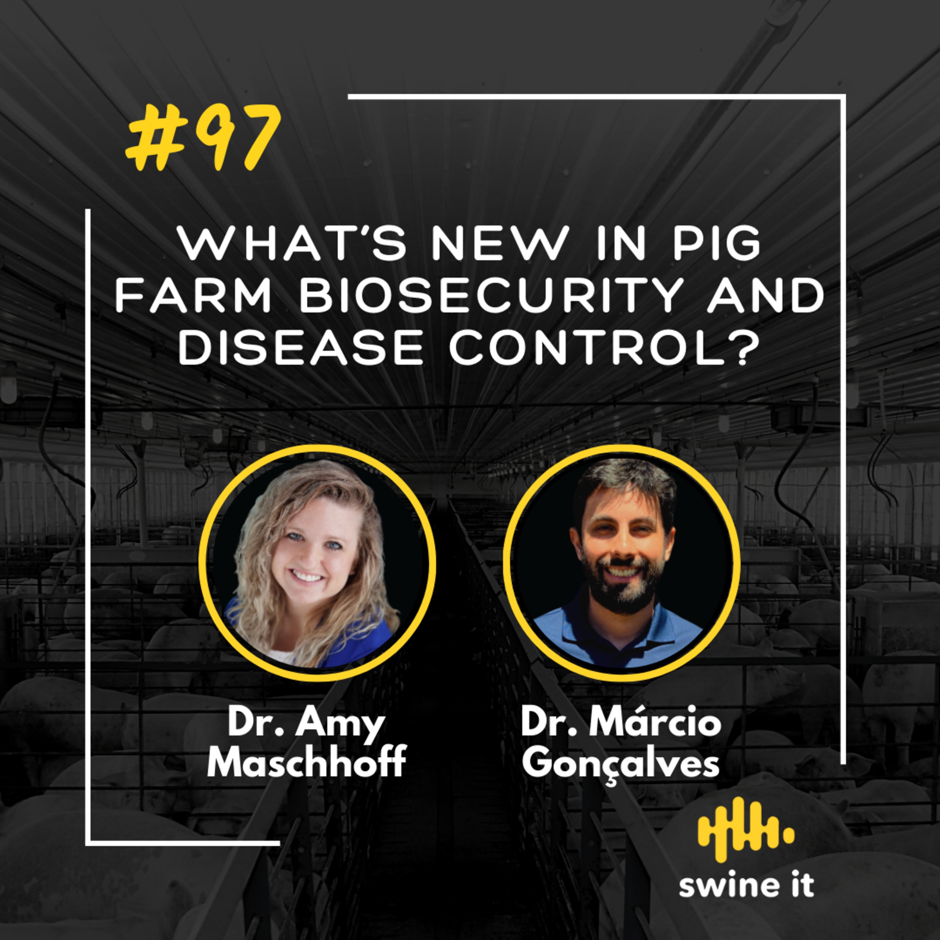 Dr. Amy Maschhoff: Pig Farm Biosecurity | Ep. 97