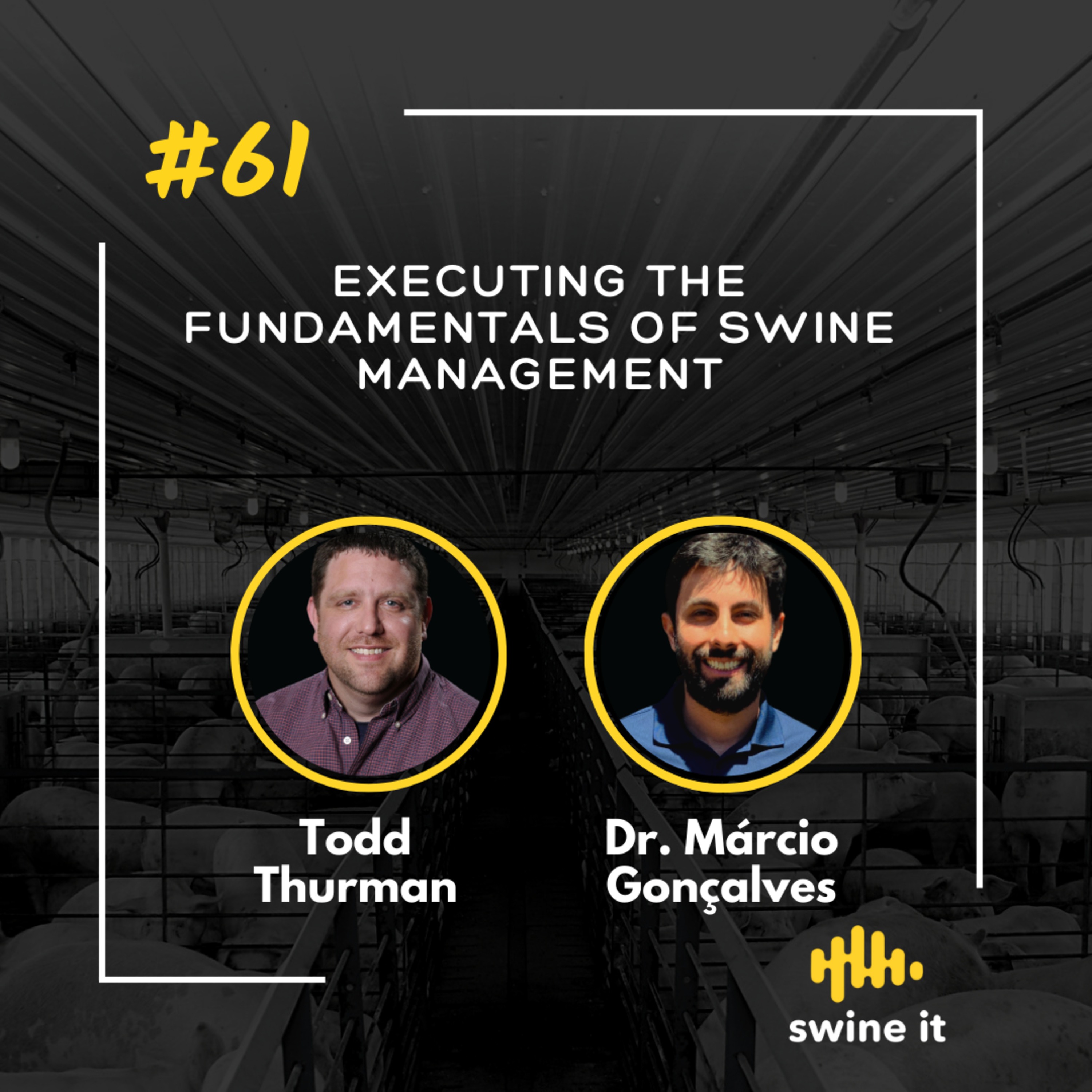 Todd Thurman: Fundamentals of Swine Management | Ep. 61 episode artwork
