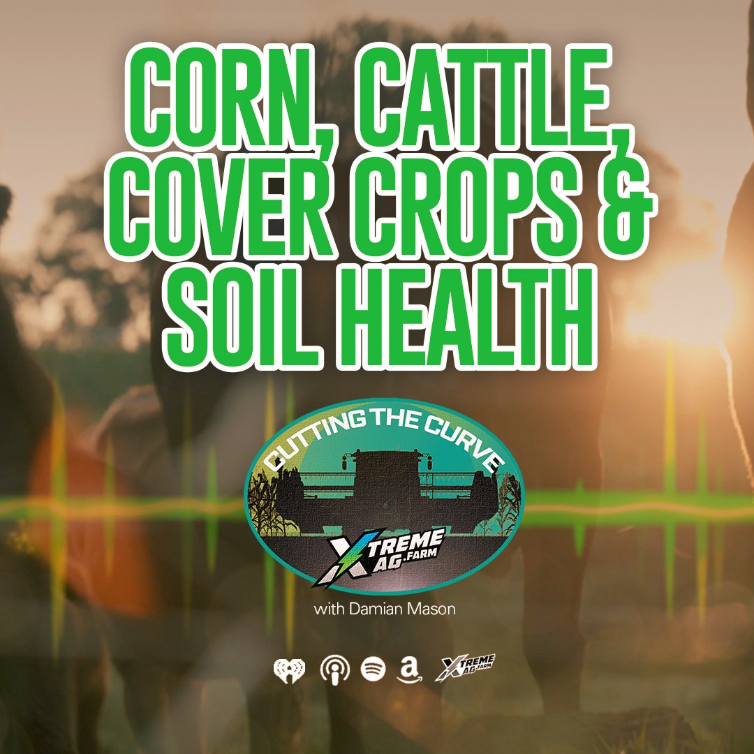 Corn, Cattle & Cover Crops — An Evolution in Soil Health episode artwork