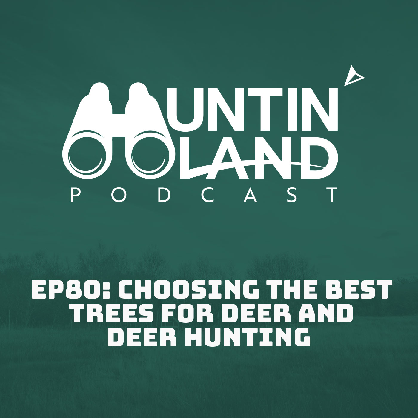 Choosing the Best Trees for Deer and Deer Hunting