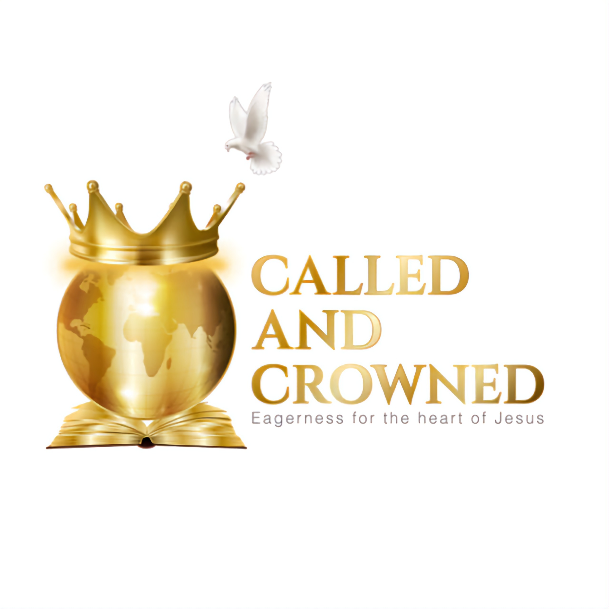 The New birth experience The New birth experience