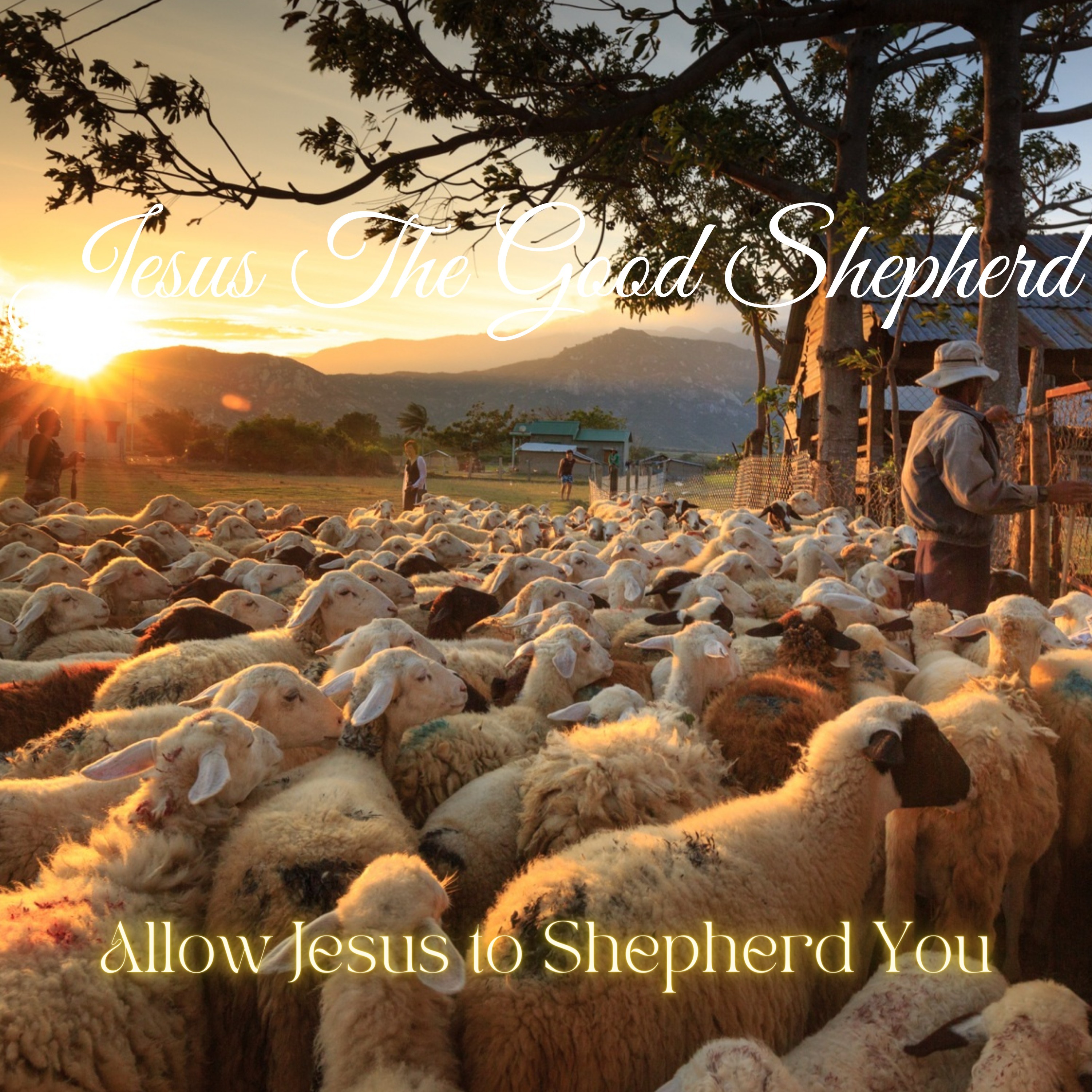 Jesus the Good Shepherd