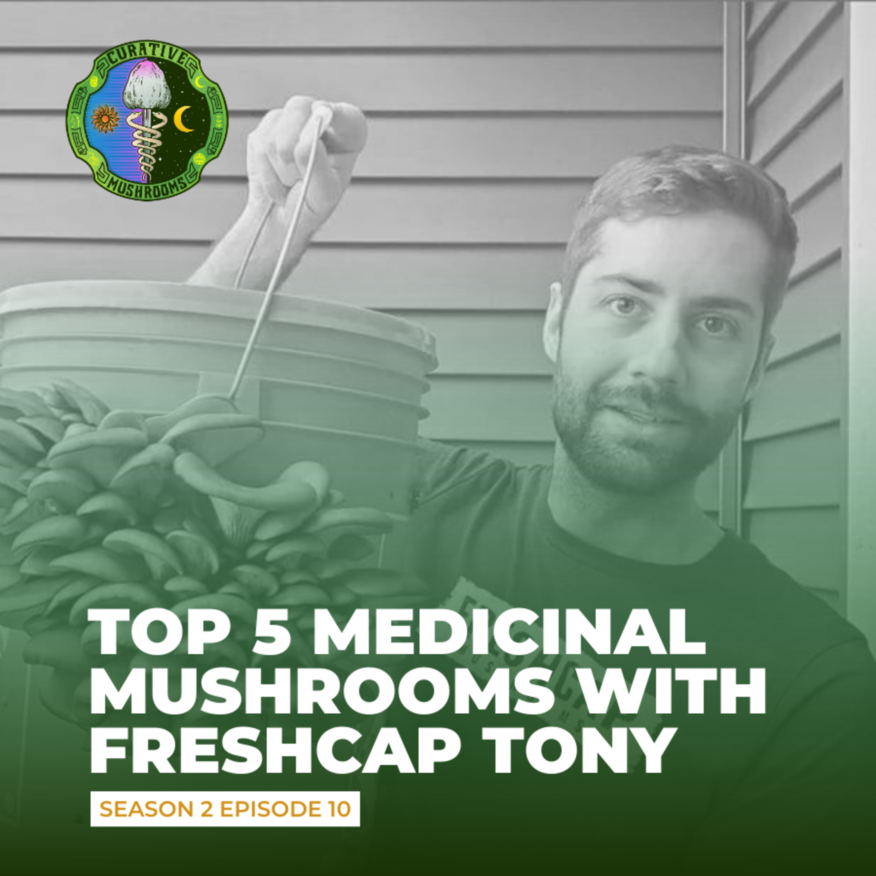 Talking The Top 5 Medicinal Mushrooms With FreshCap Tony...