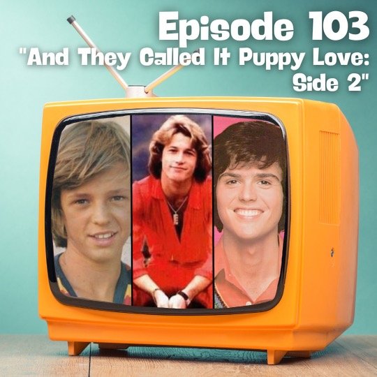 Pop Culture Preservation Society