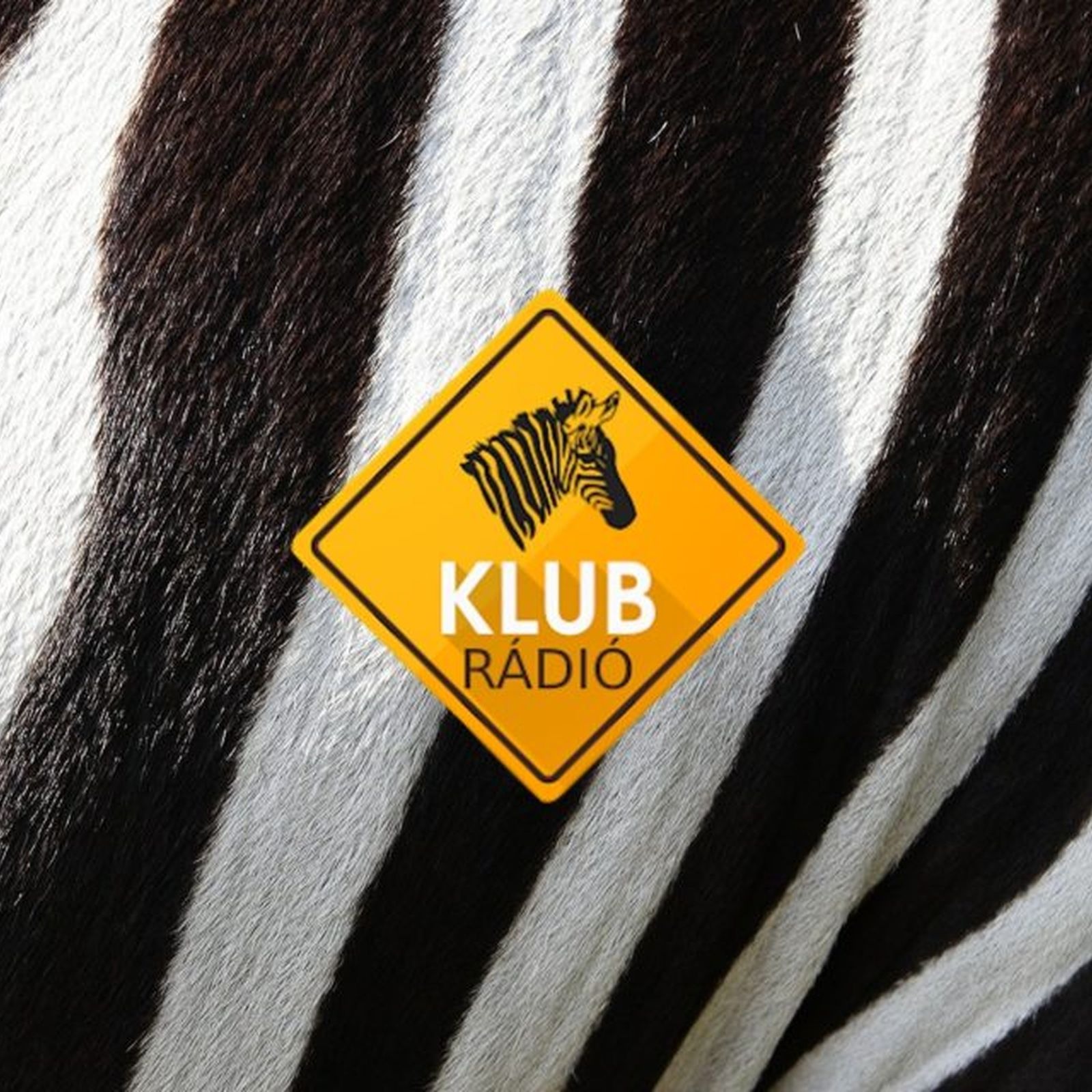 A Lényeg - A Klubrádió krónikája este, 2024. február 06., kedd 18:05