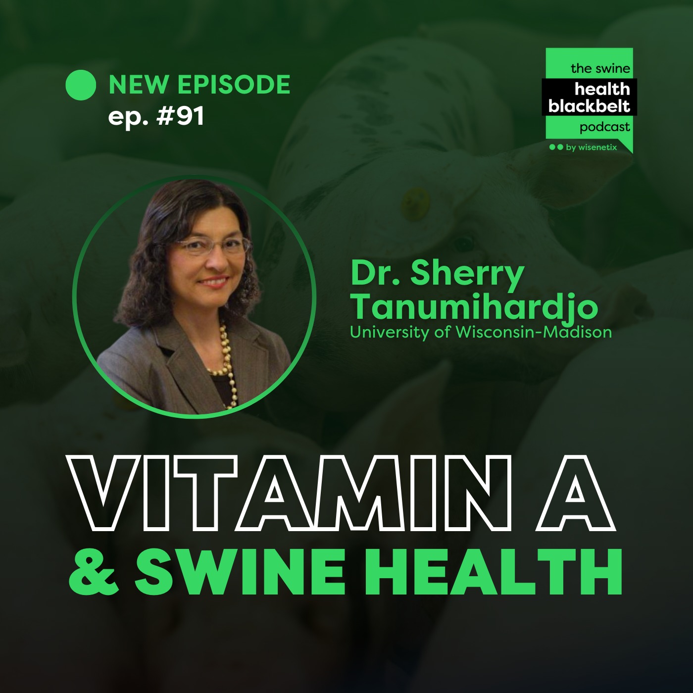 Dr. Sherry Tanumihardjo: Vitamin A & Swine Health | Ep. 91