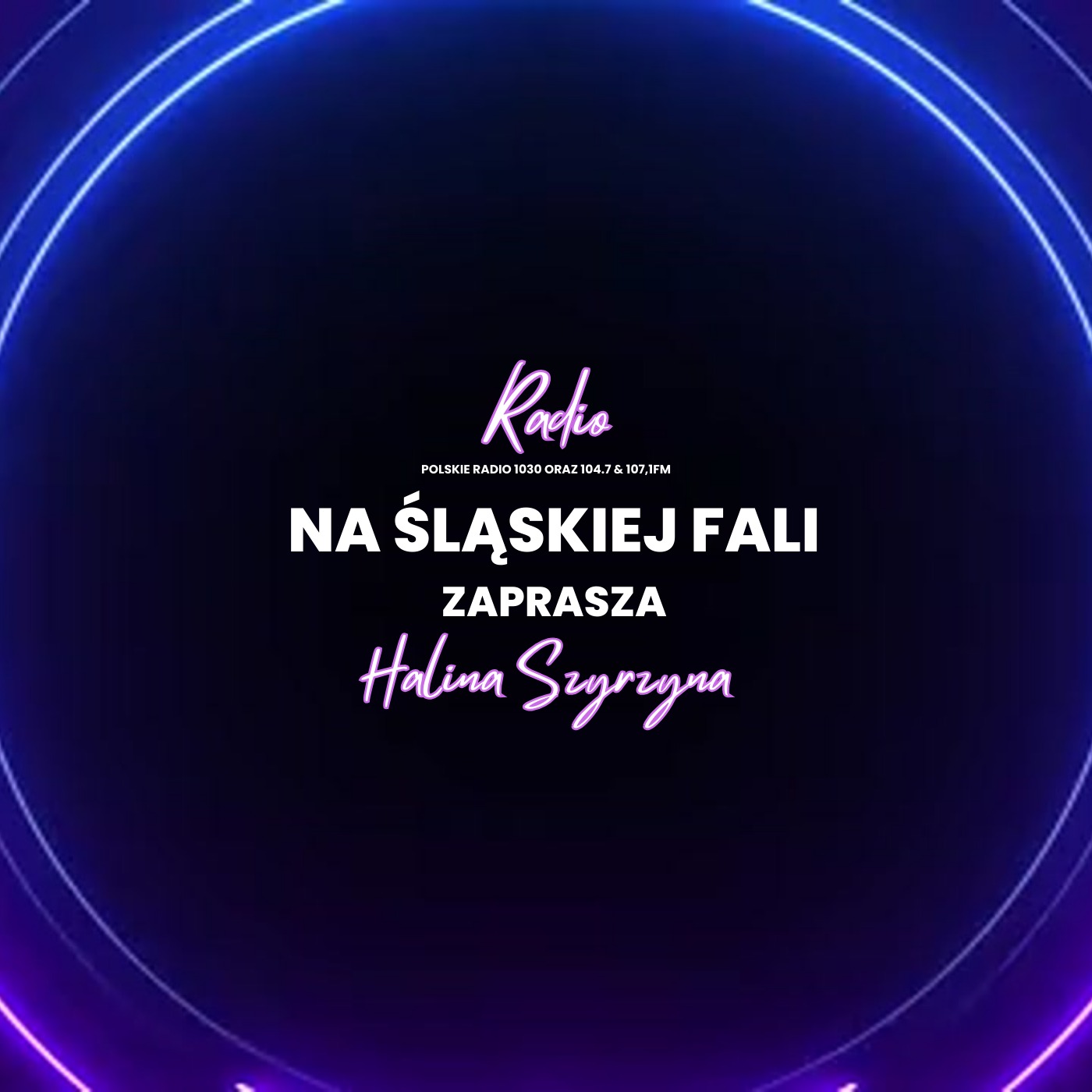 Radio Na Śląskiej Fali Chicago