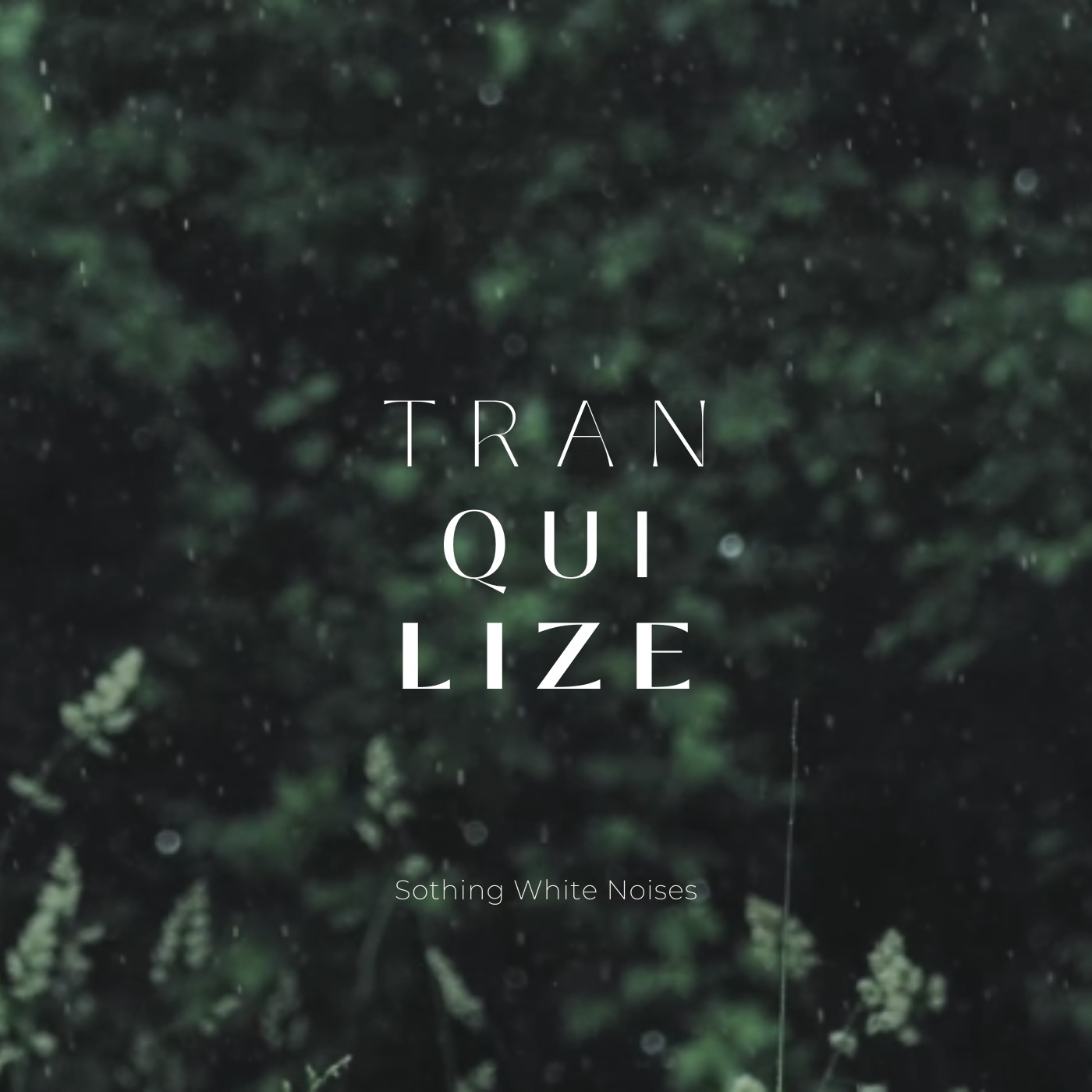 Light Rain in the Forest