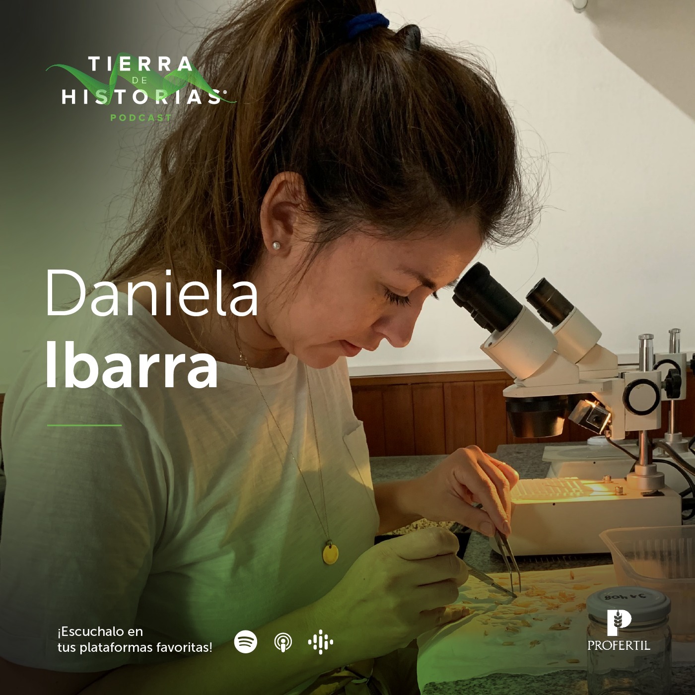 Tierra de Historias
