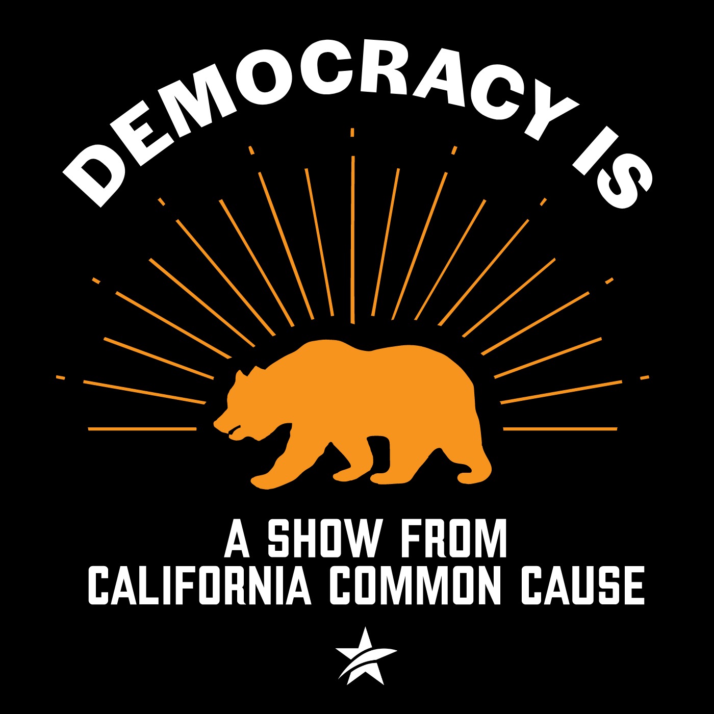 Breaking the Cycle: Reforming LA City Council for a Stronger Democracy Breaking the Cycle: Reforming LA City Council for a Stronger Democracy