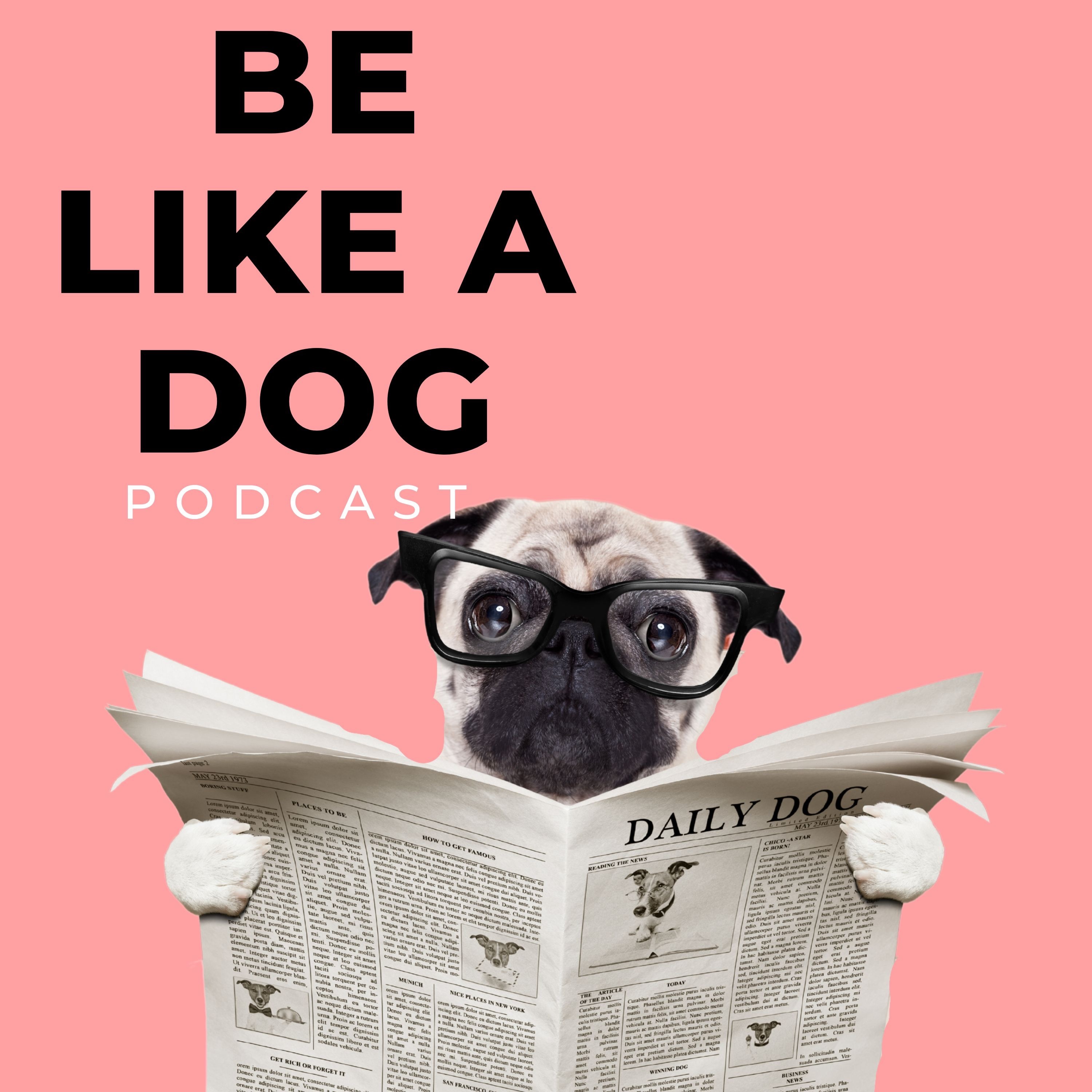Be Like A Dog