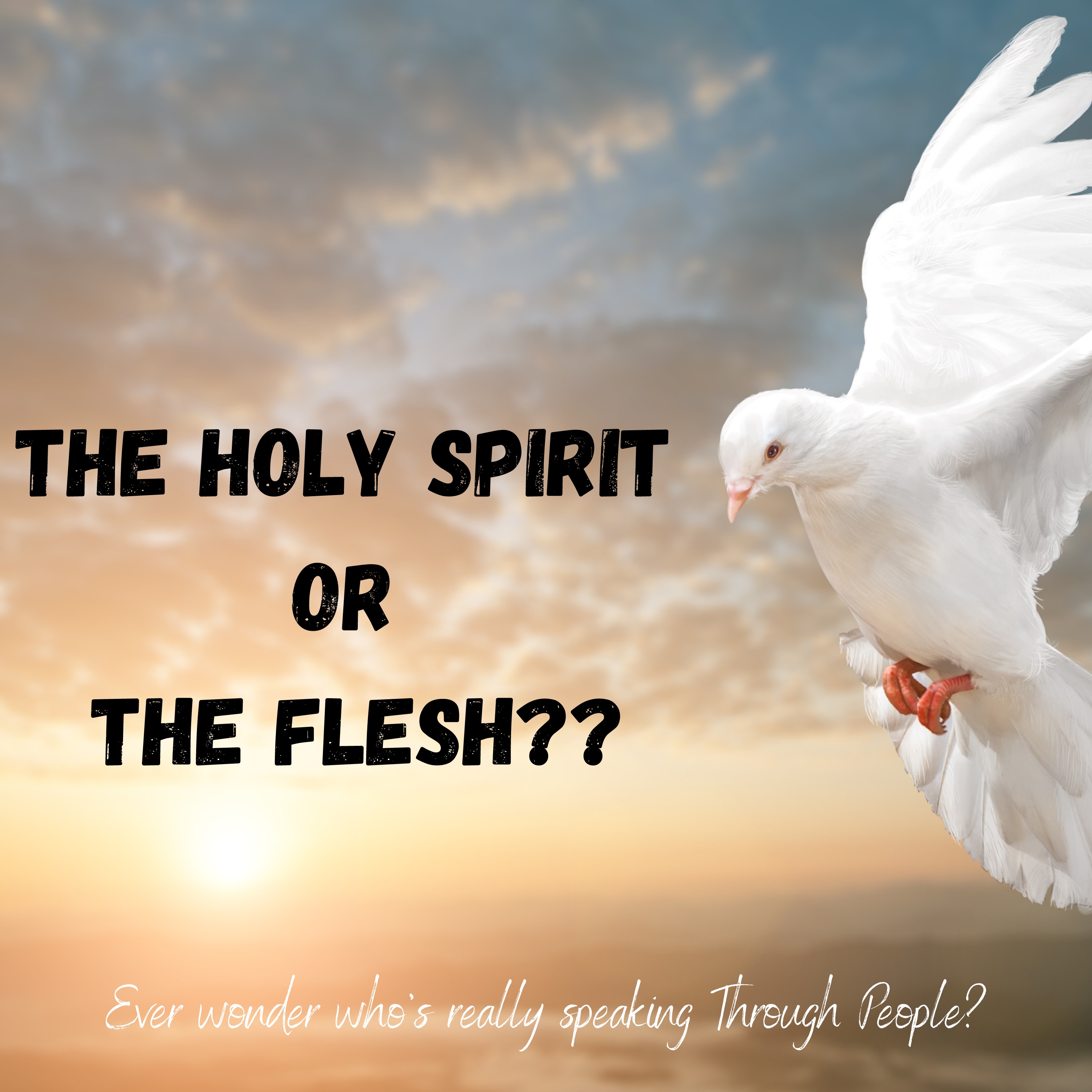 Is it the Holy Spirit or the Flesh?