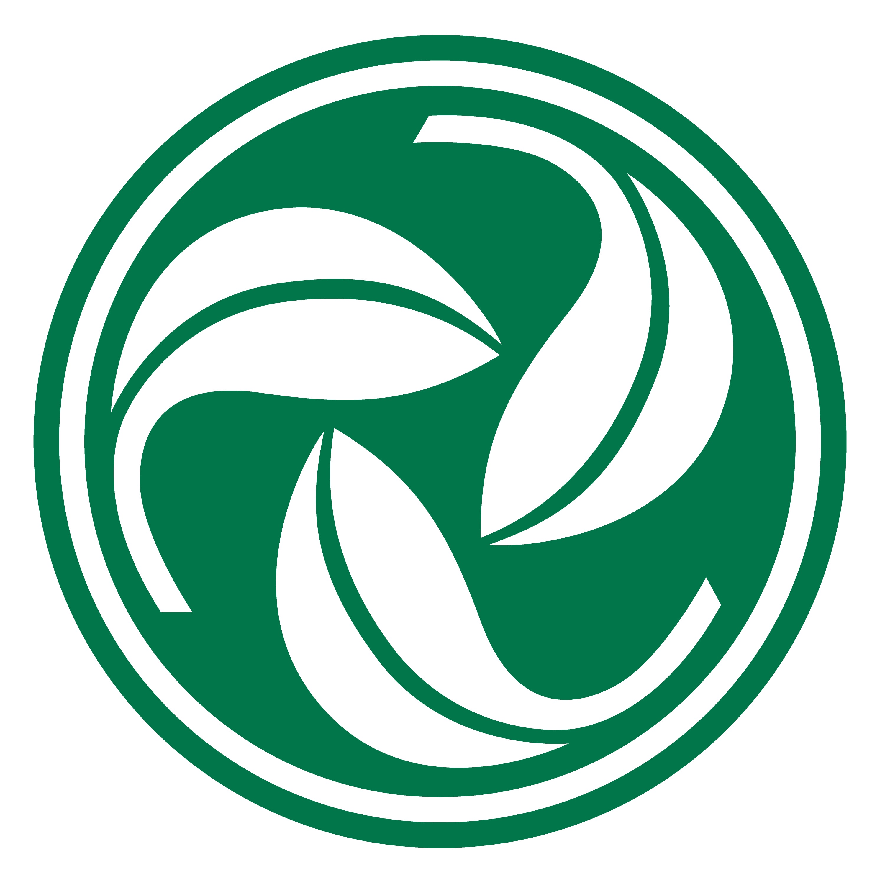 GREEN Flash Radio