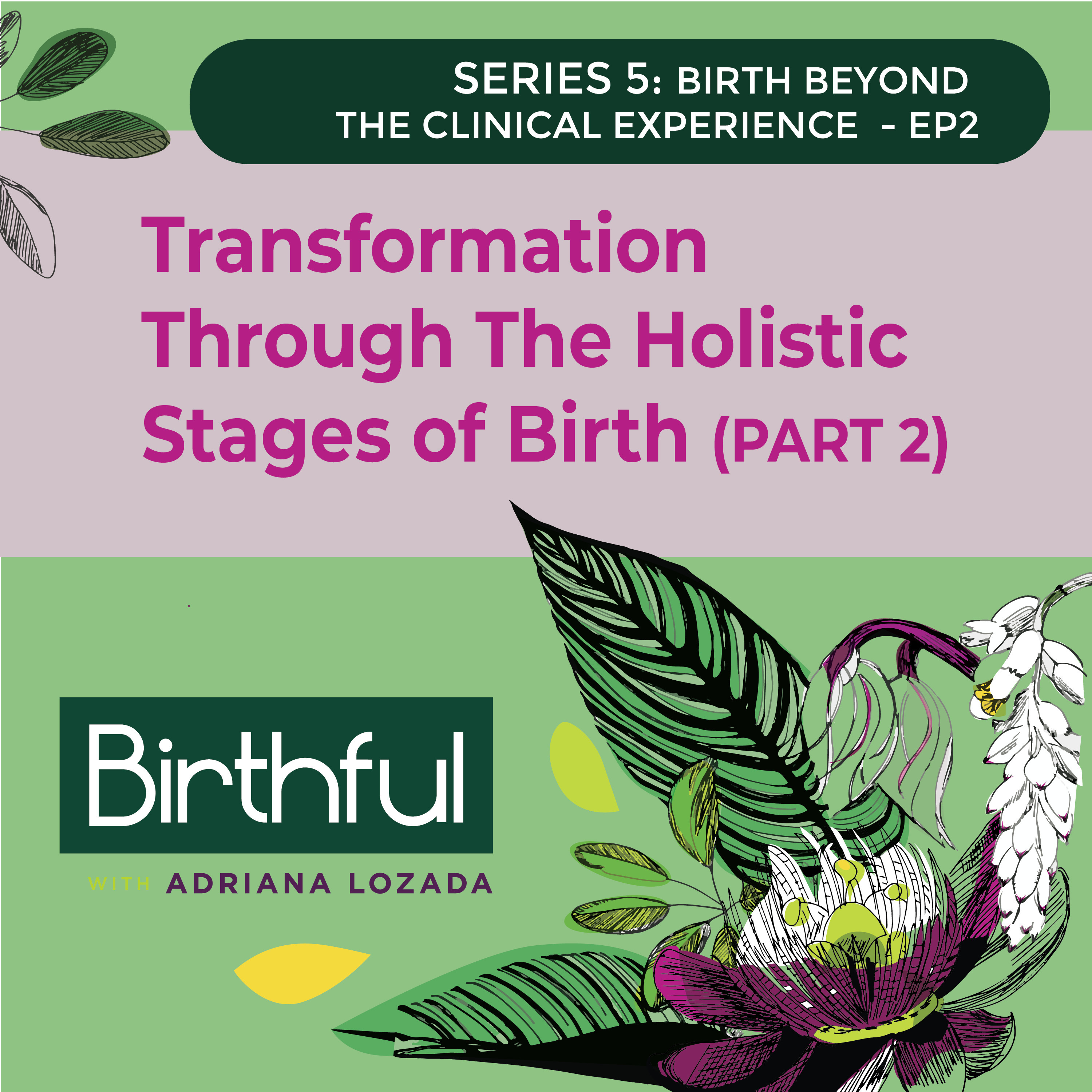 Transformation Through The Holistic Stages of Birth (Part Two)