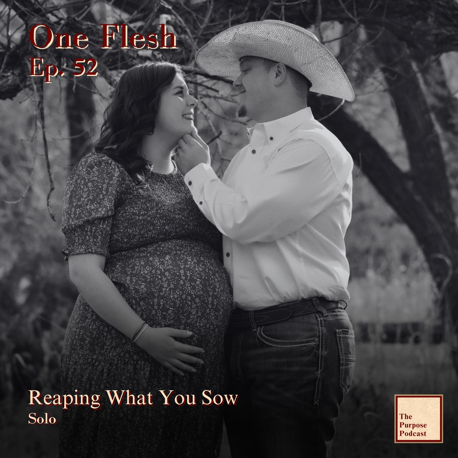 One Flesh - Ep. 52 Reaping What You Sow | Solo episode artwork